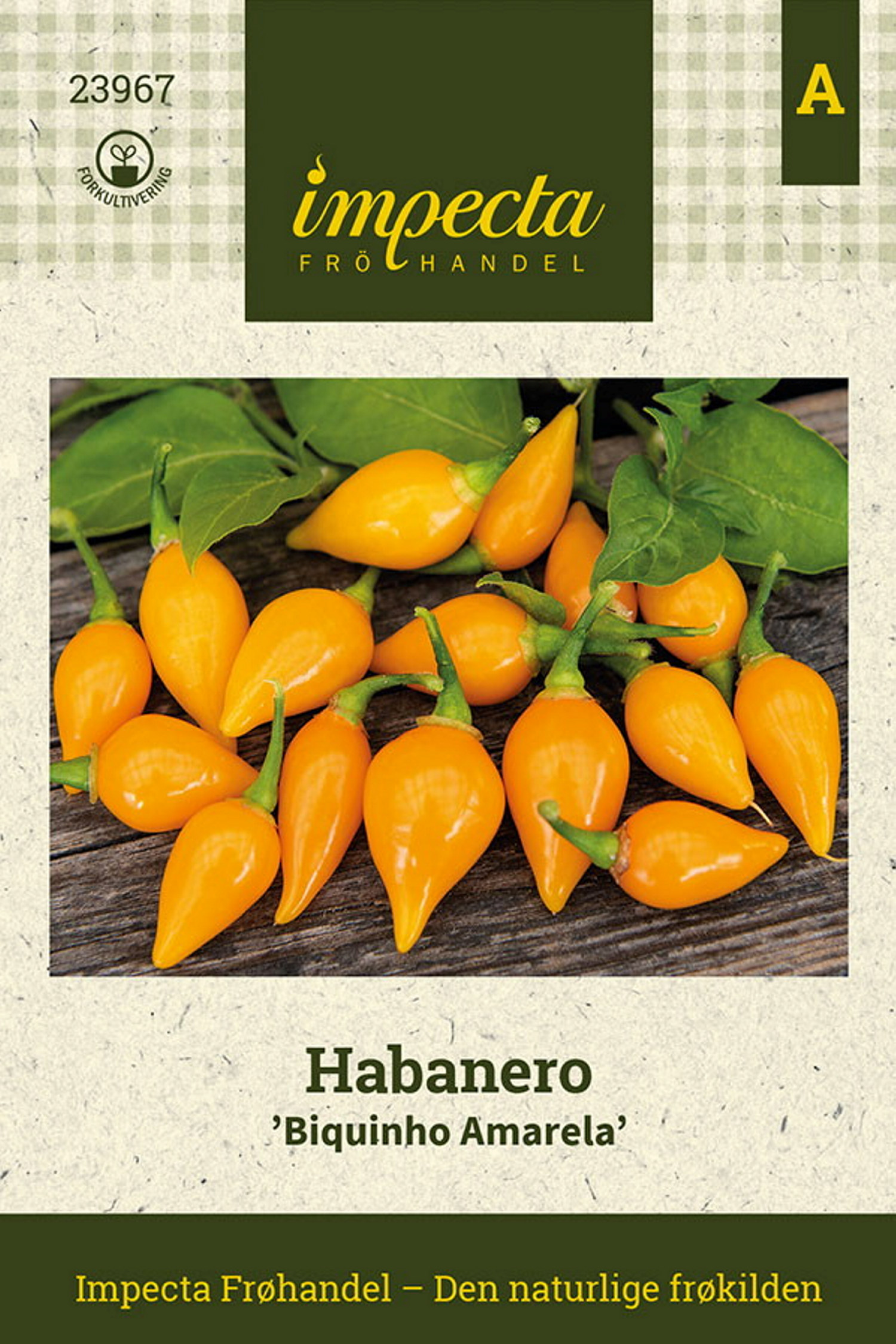 Habanero 'Biquinho Amarela'
