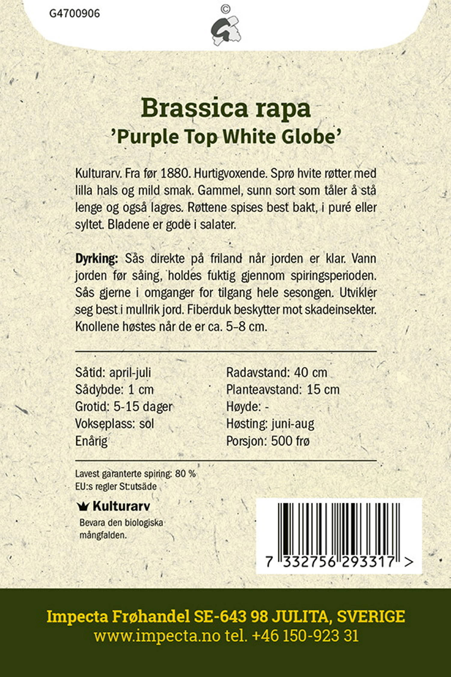 Nepe 'Purple Top White Globe'