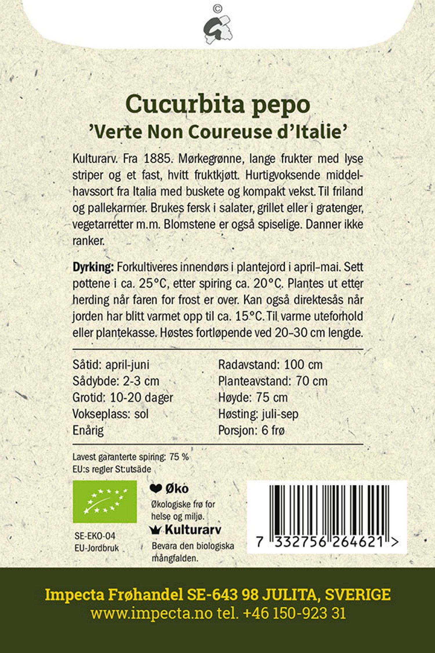Squash 'Verte Non Coureuse d'Italie'