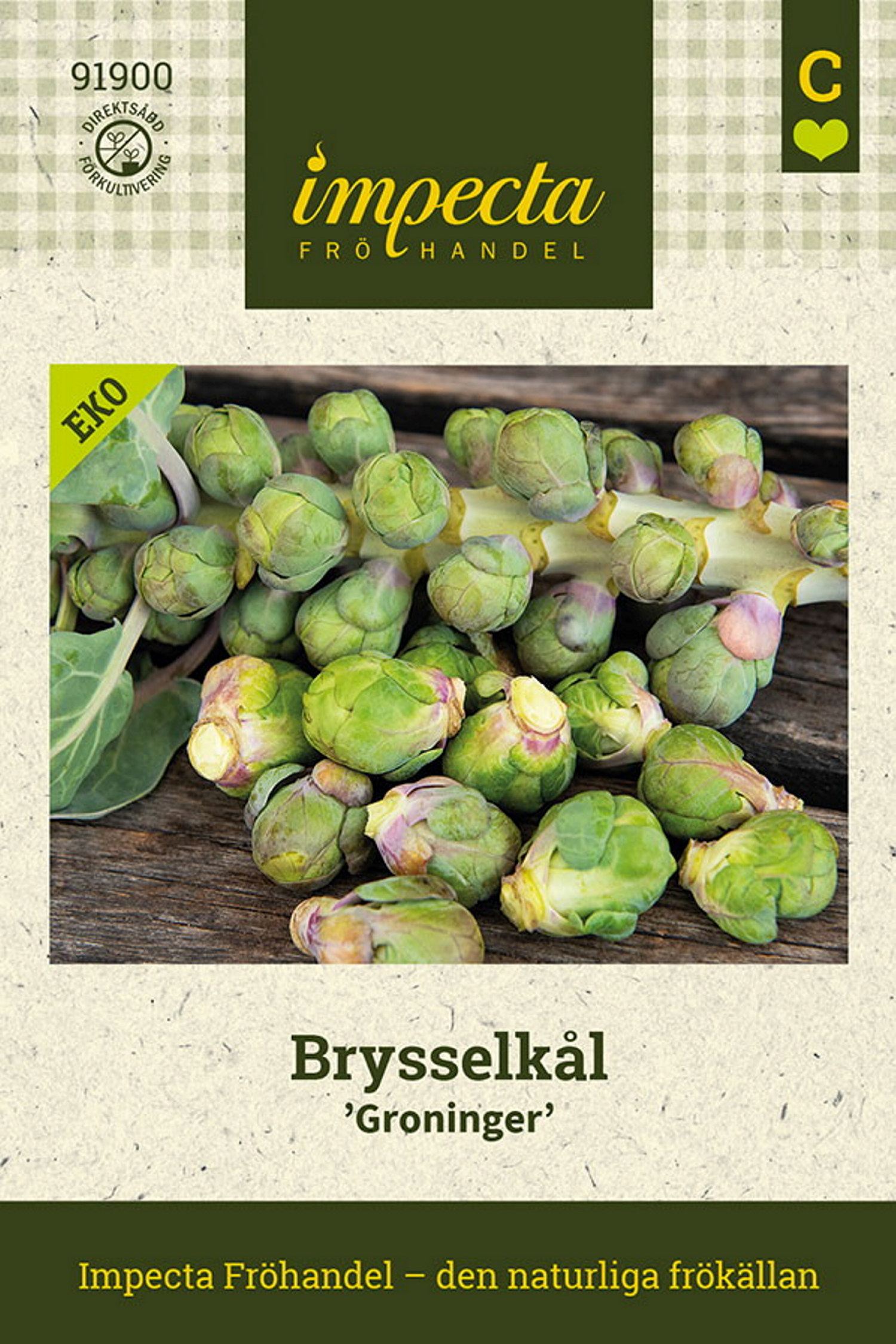 Brysselkål 'Groninger'