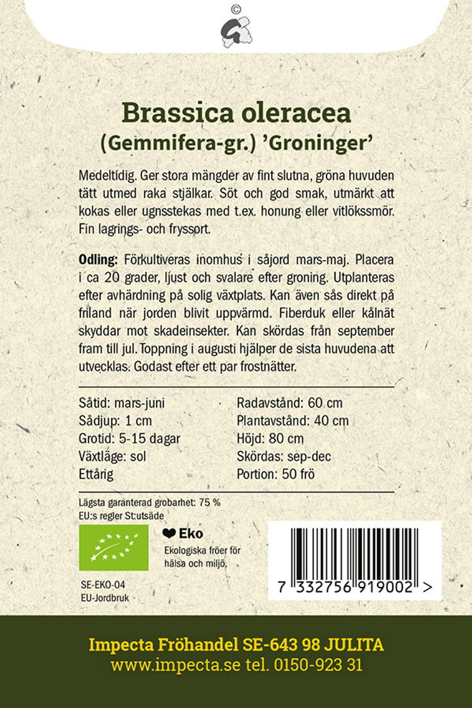 Brysselkål 'Groninger'