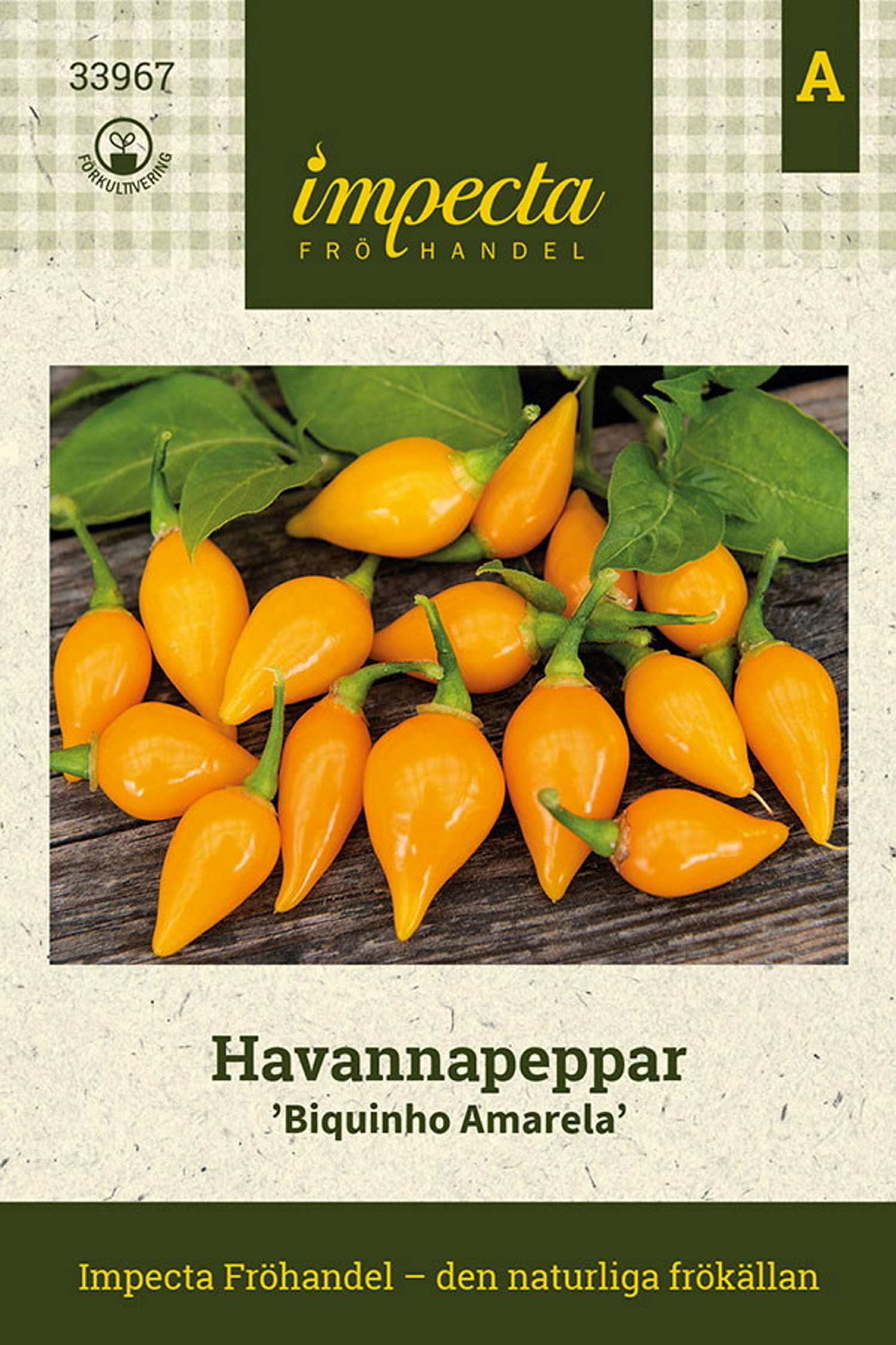 Havannapeppar 'Biquinho Amarela'