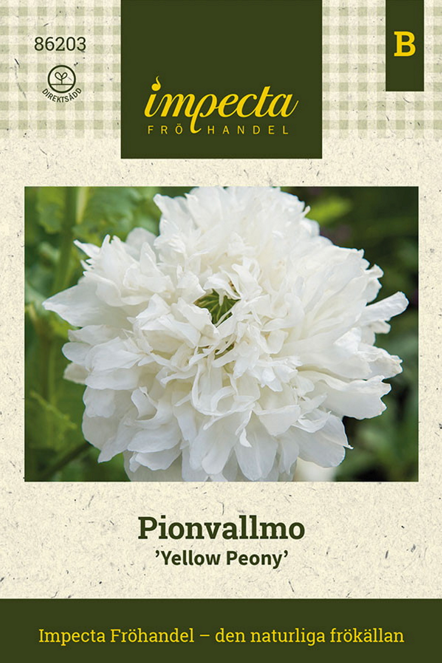 Pionvallmo 'Yellow Peony'