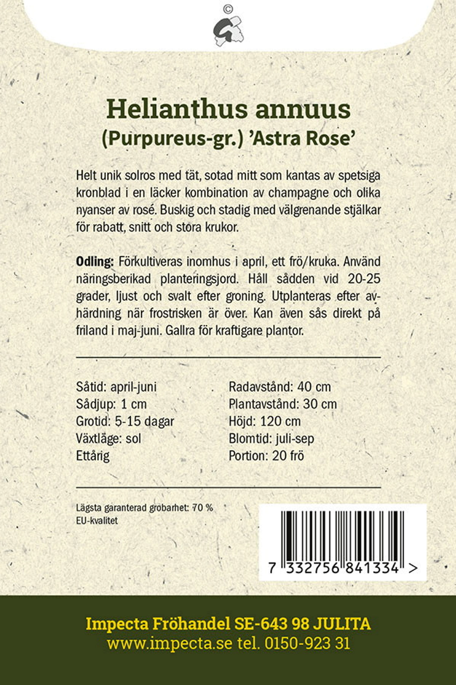 Purpursolros 'Astra Rose'