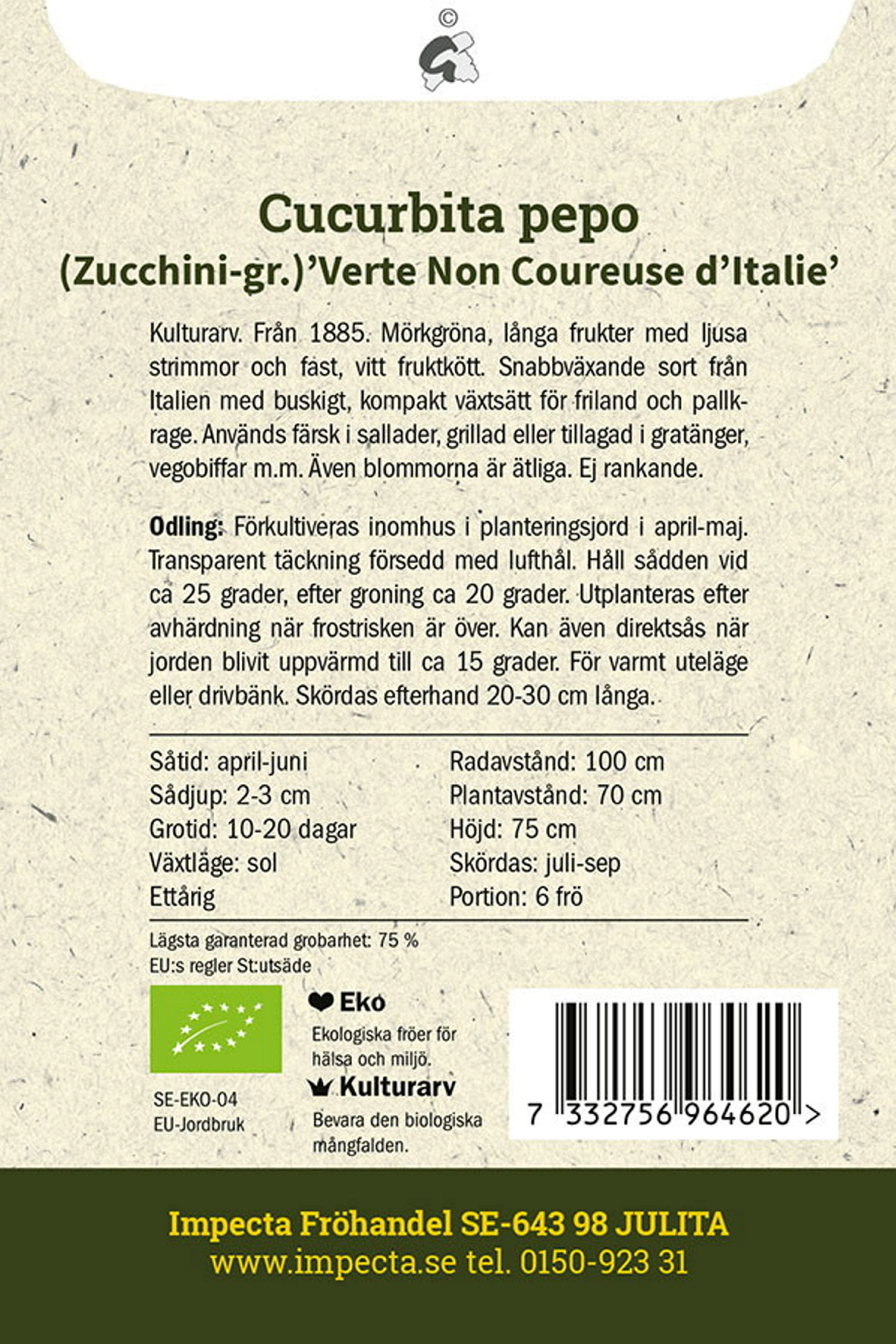 Squash 'Verte Non Coureuse d'Italie'