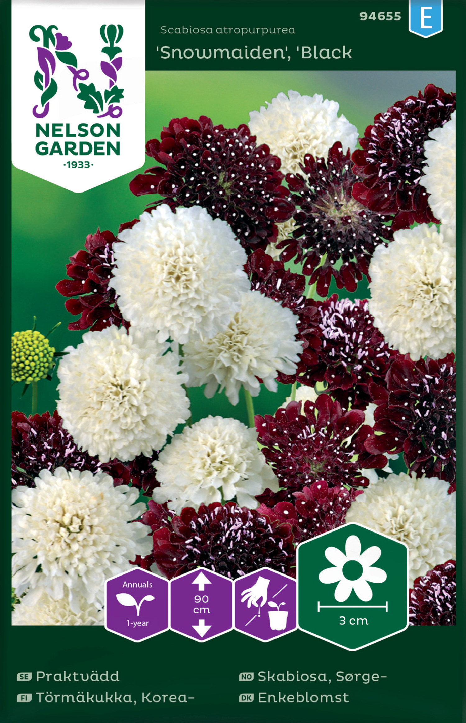 Praktvädd 'Snowmaiden' & 'Black Knight'