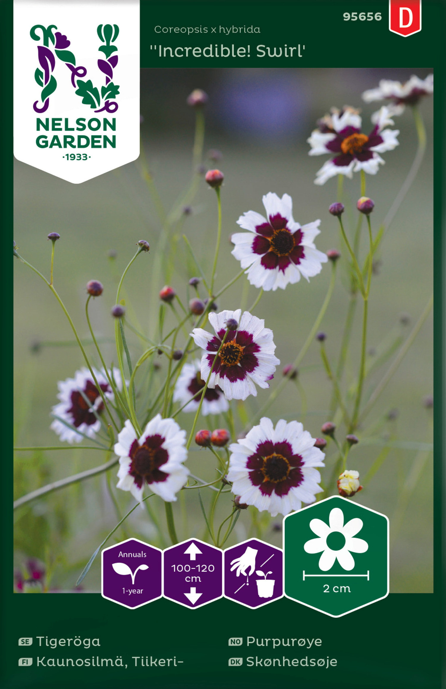 Tigeröga 'Incredible! Swirl'