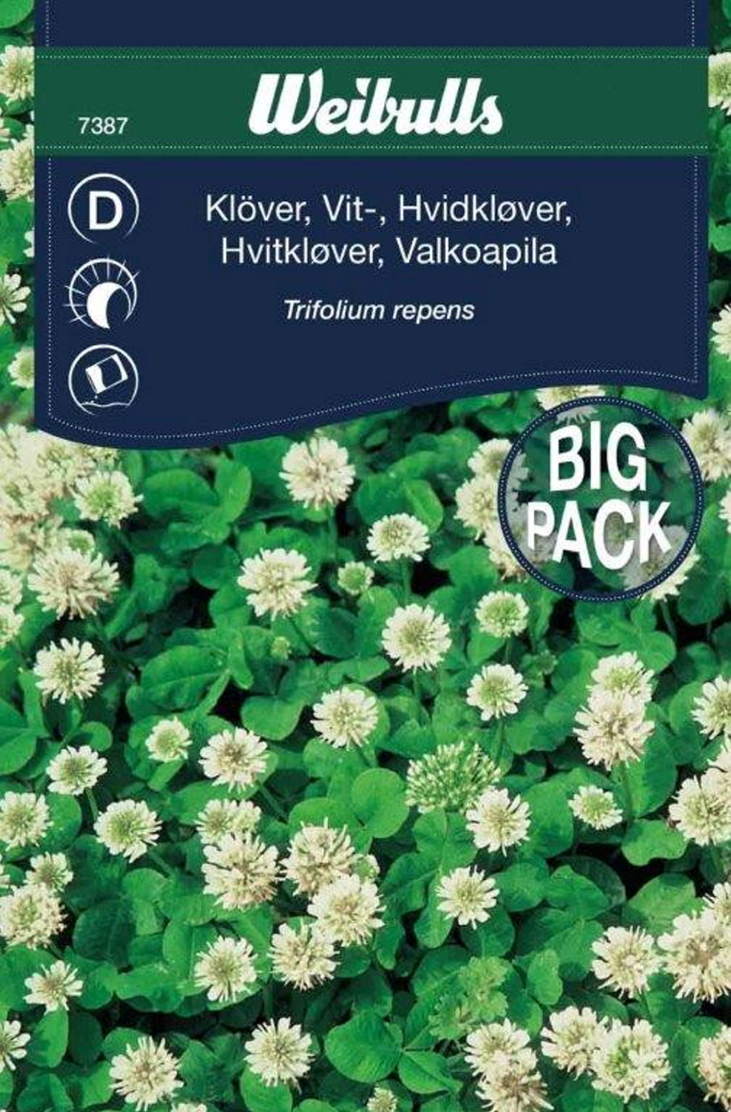 Hvitkløver stor porsjon