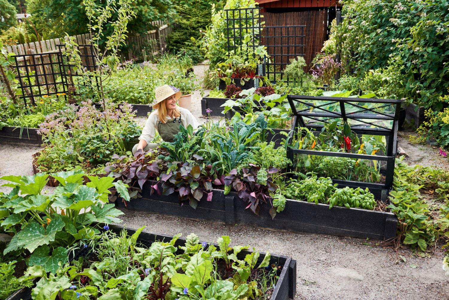 Drivhus Ingrid til plantekasse