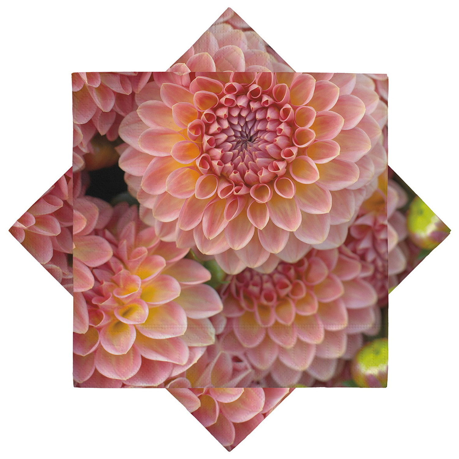 Napkin Dahlia