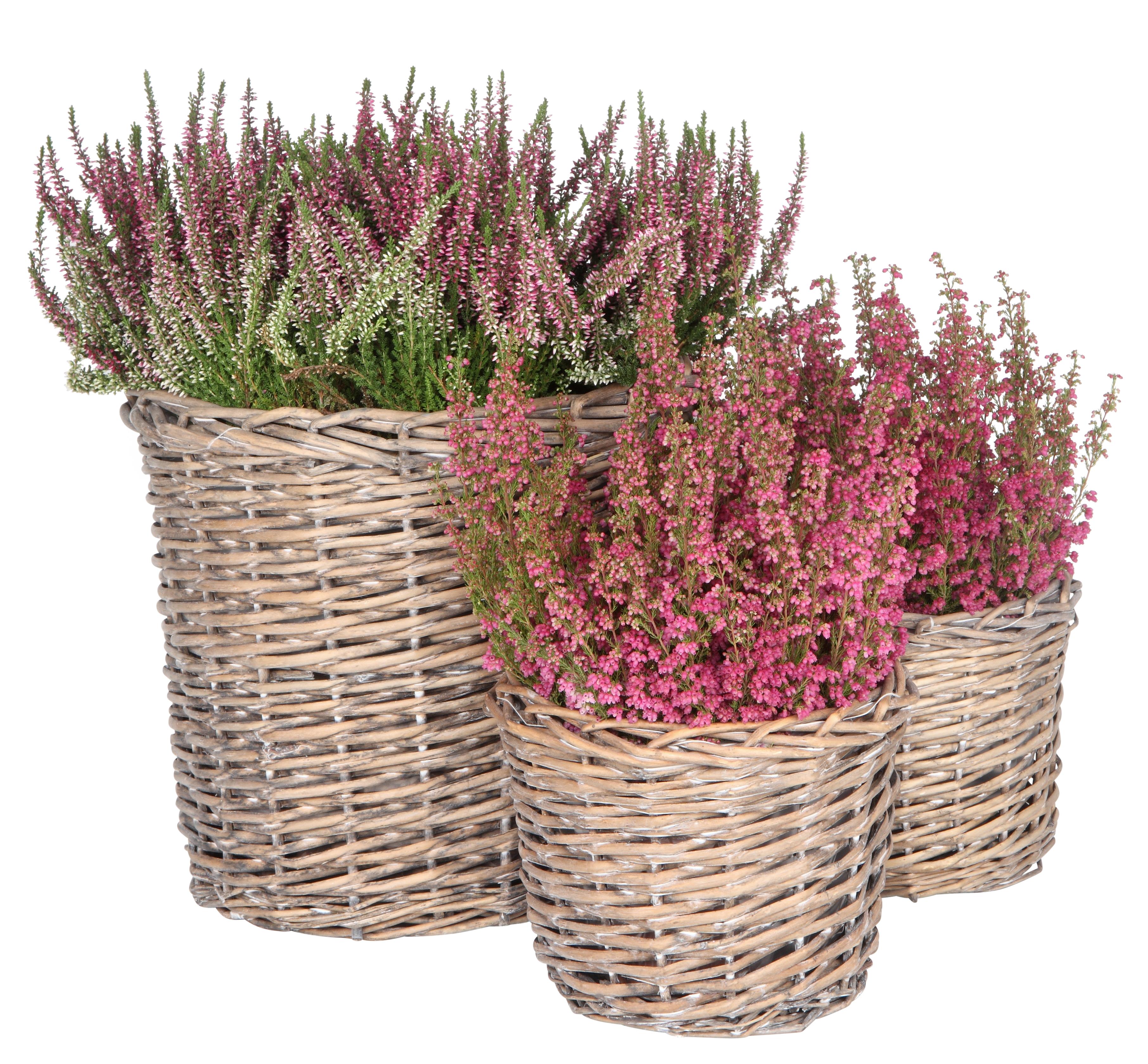 Edith basket D23 willow