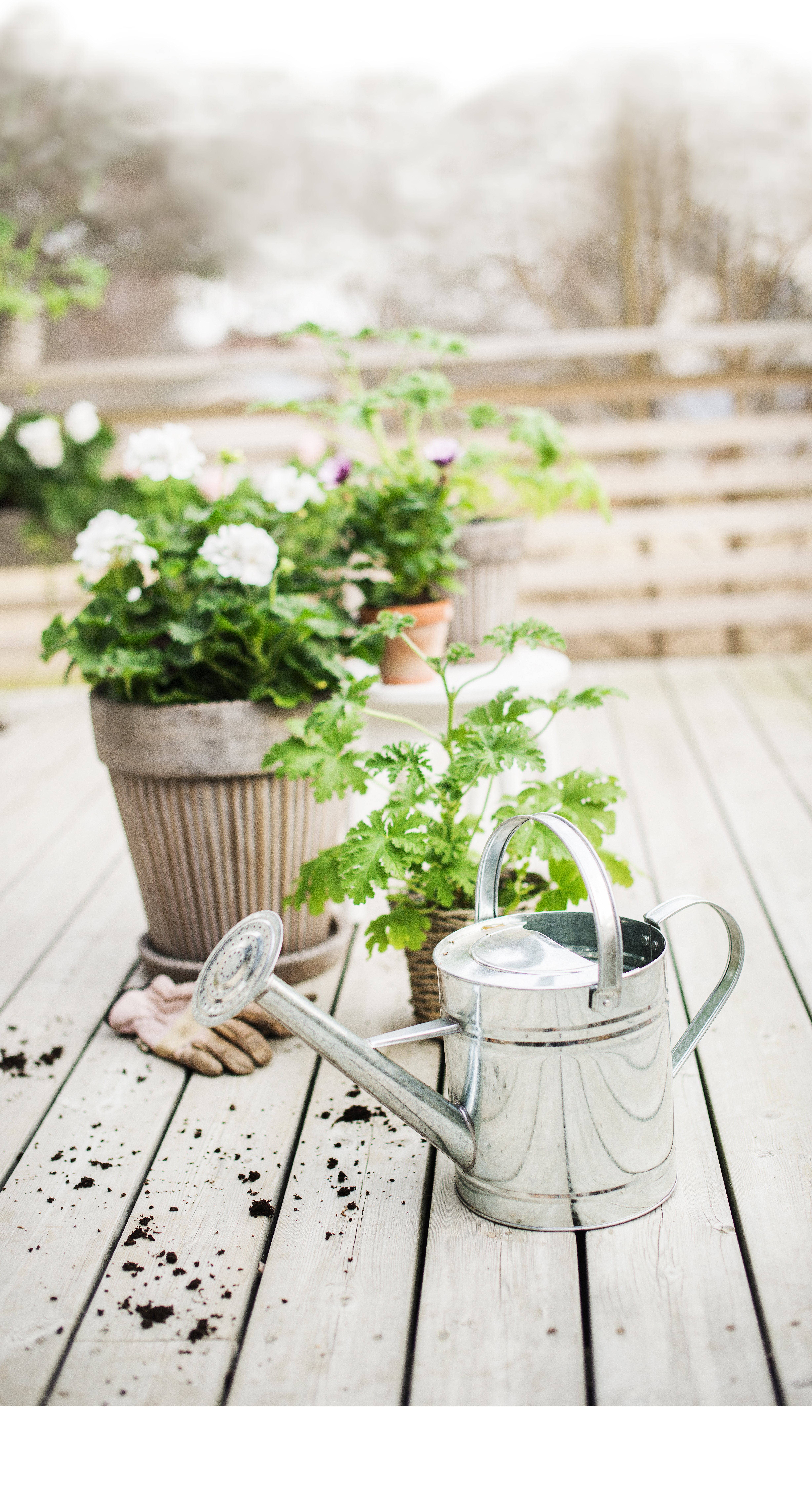 Vattenkanna galvaniserad