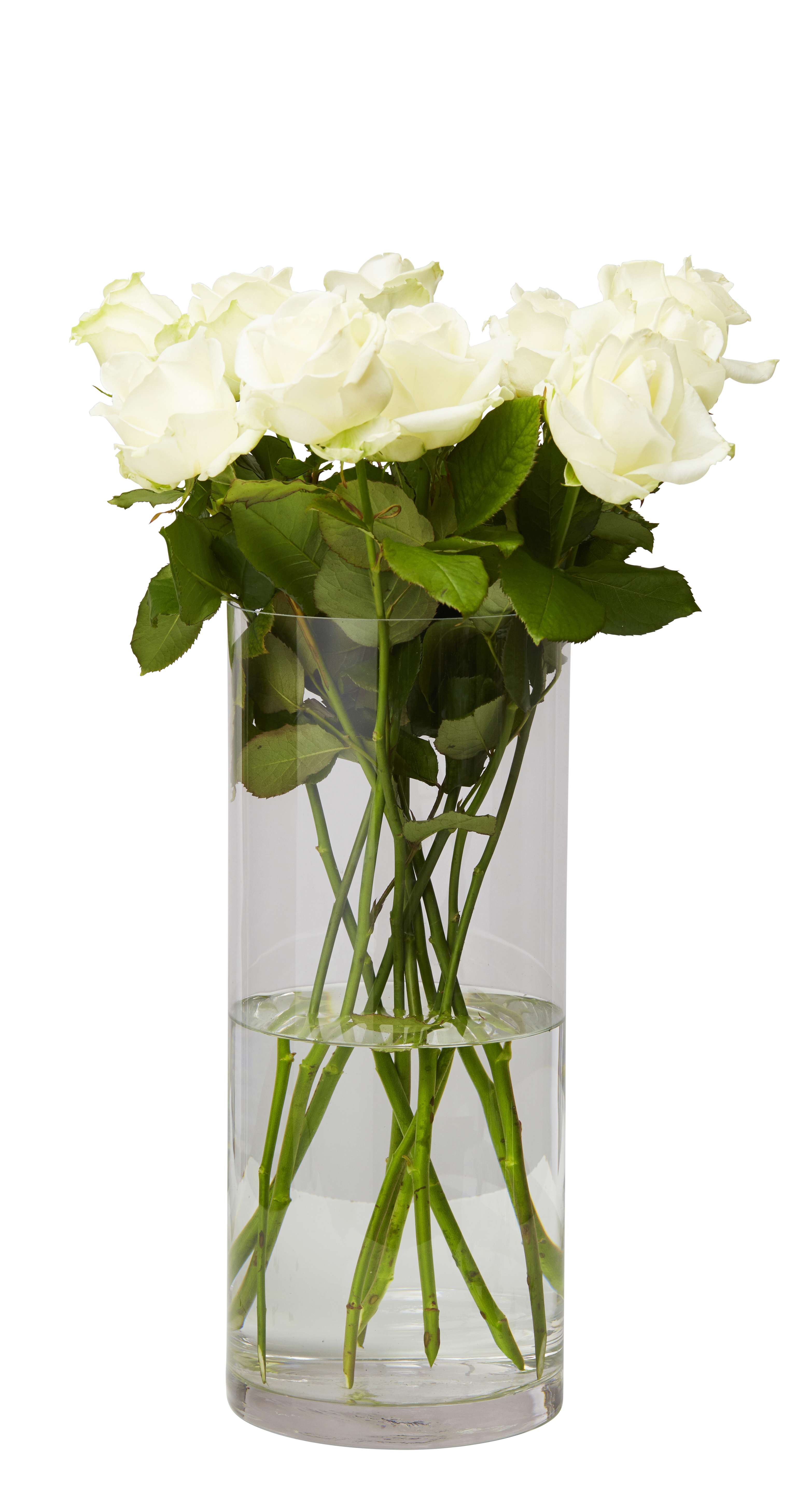 Jennifer vase H30 glass