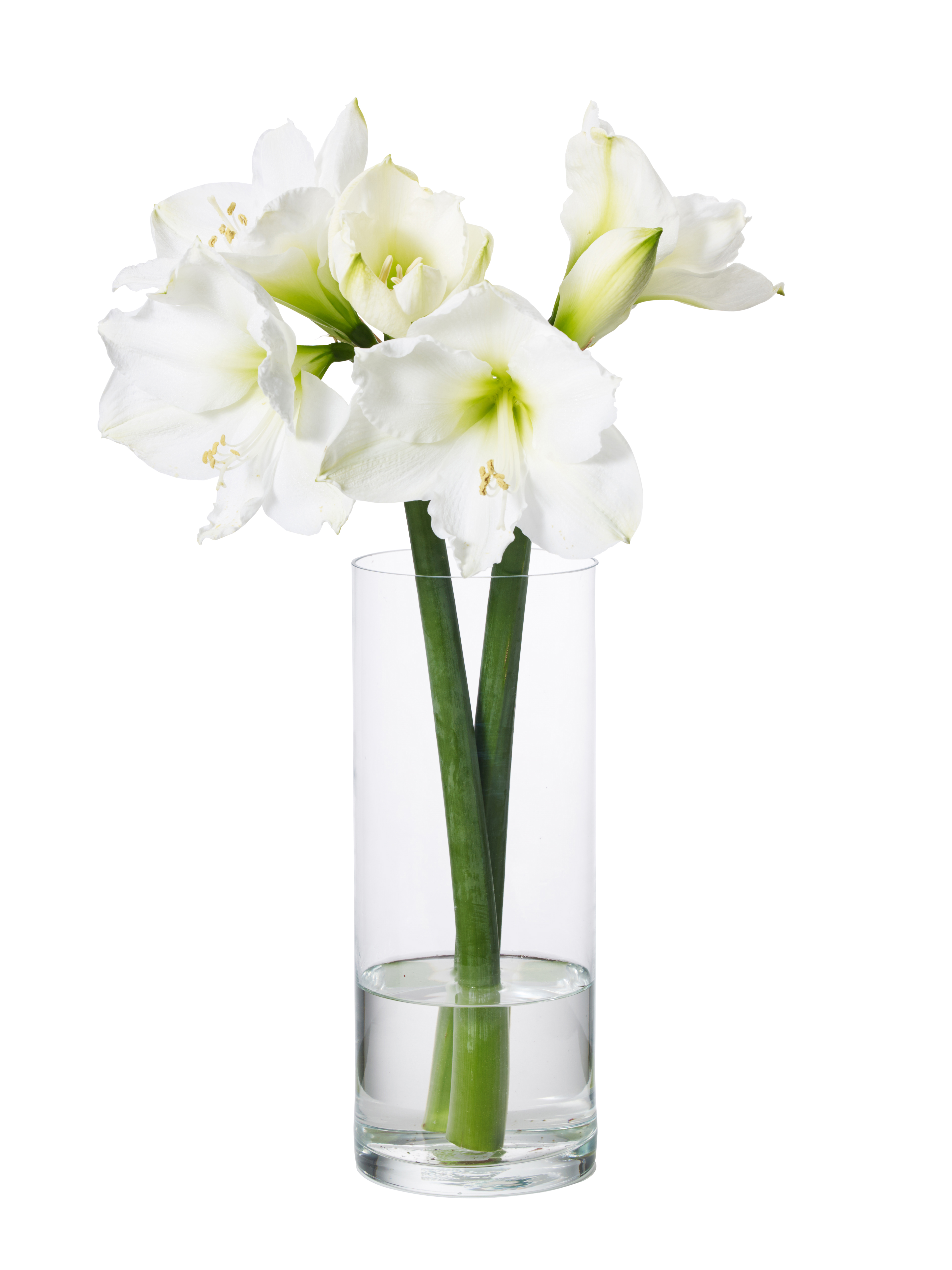 Jennifer vase H30 glass