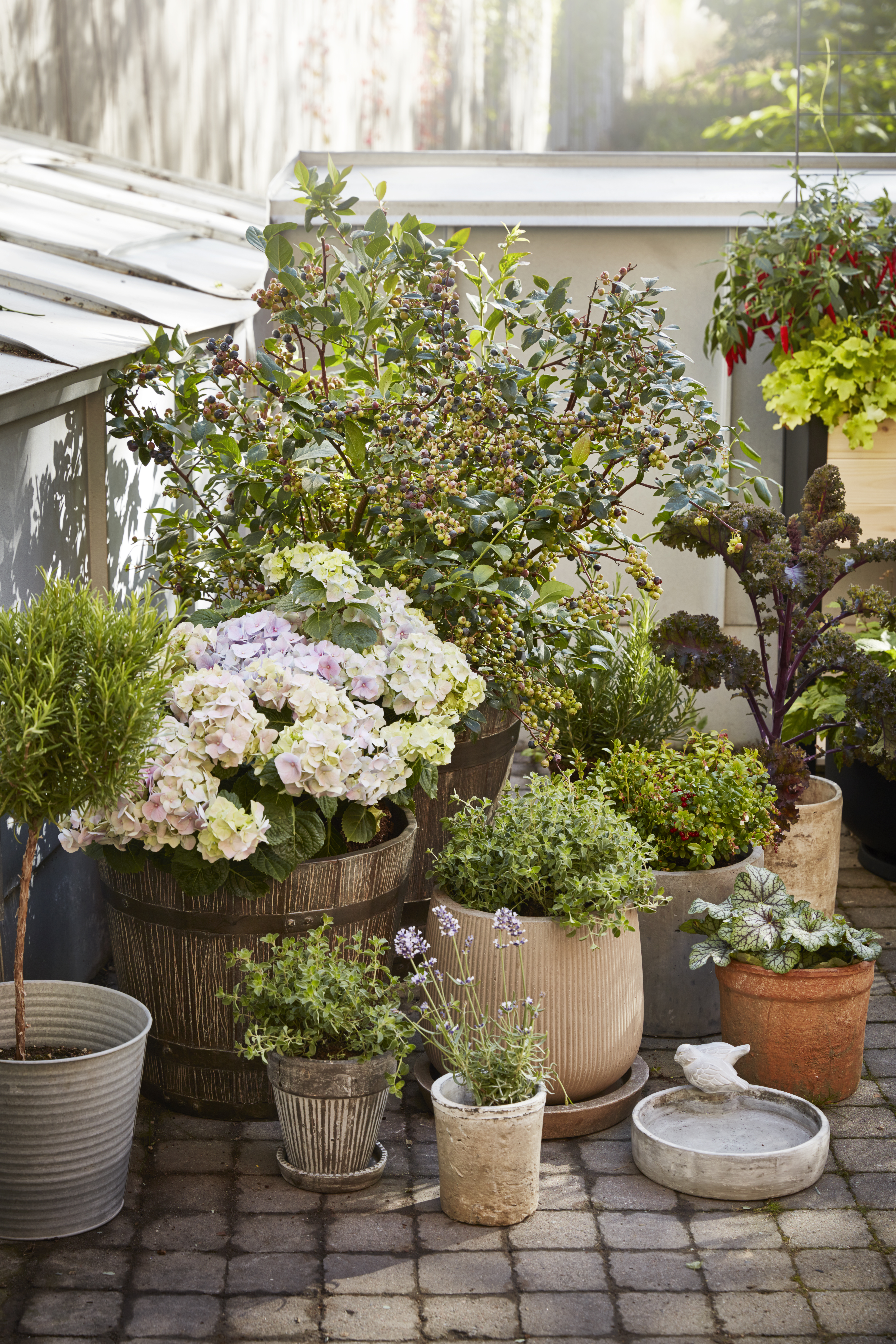 Vintage pot D25 terracotta