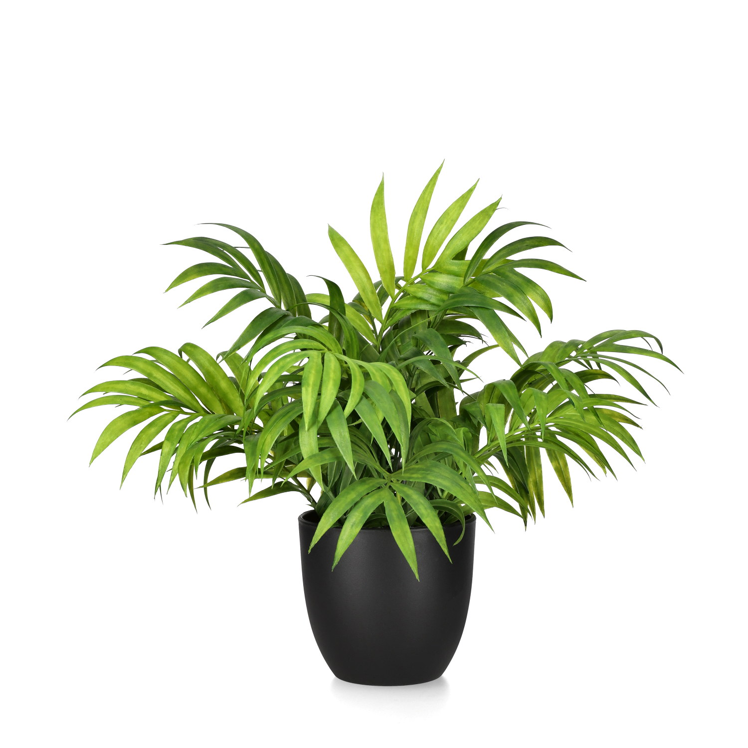 Dvergfjærpalme kunstig