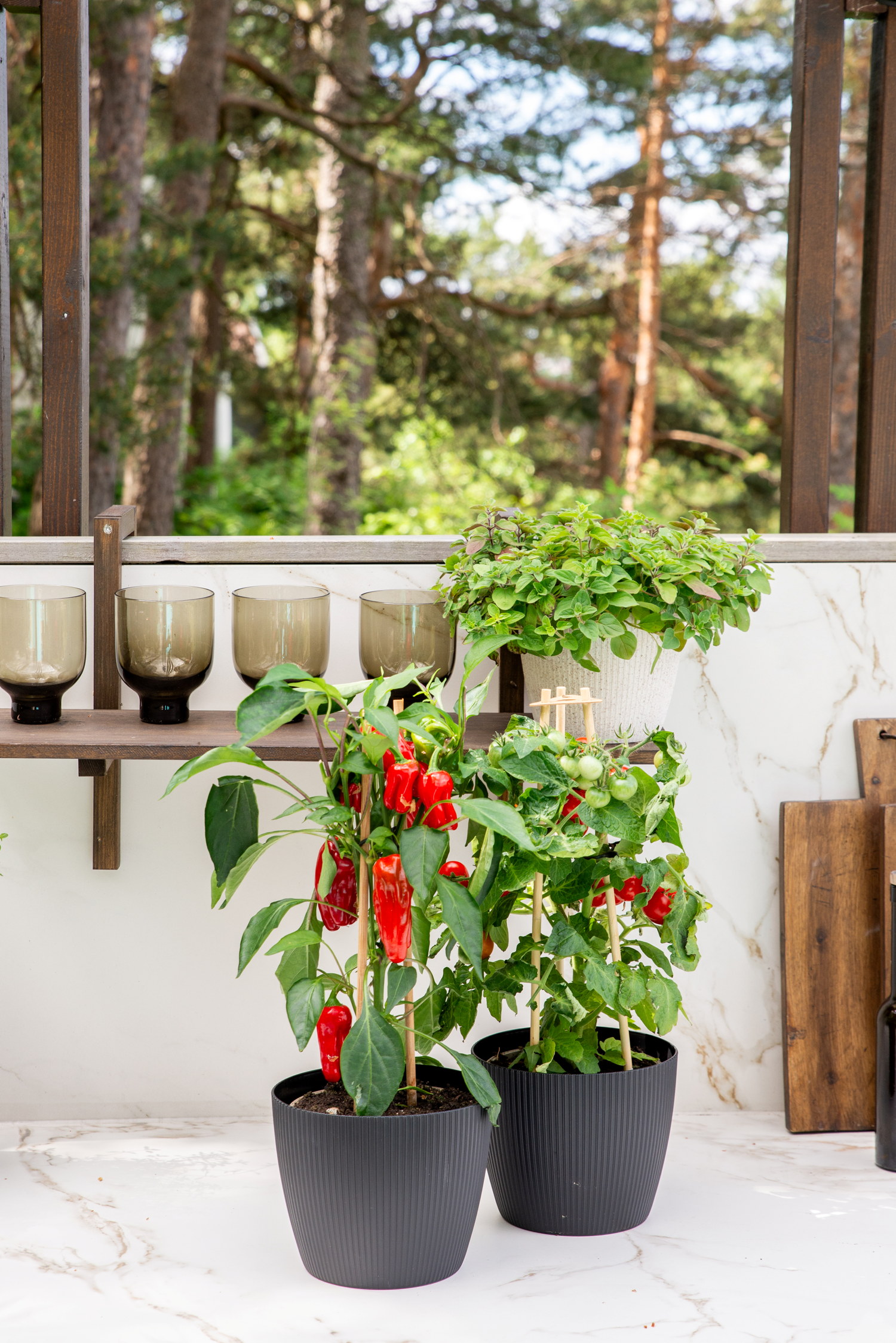 Lisse eco pot D14 black