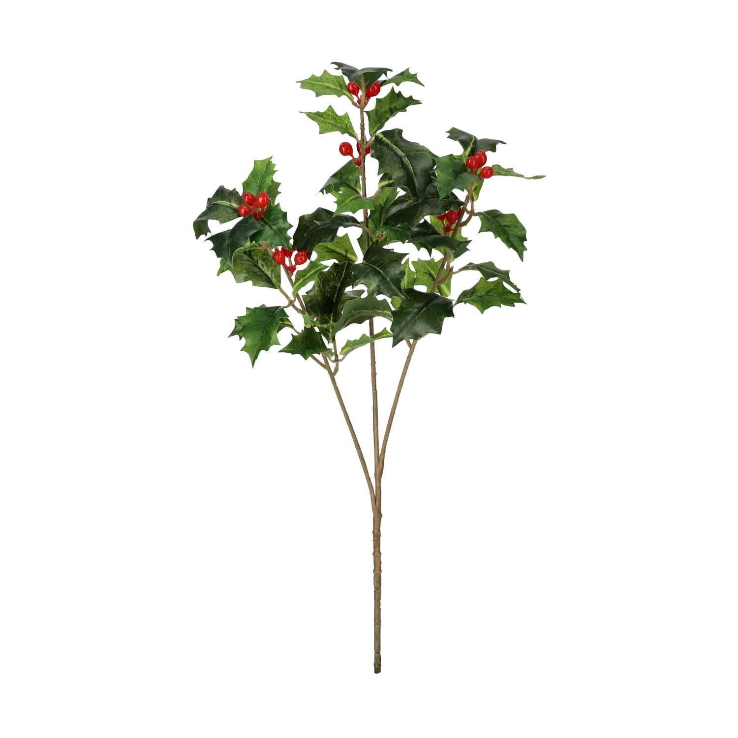Holly branch H36 multi