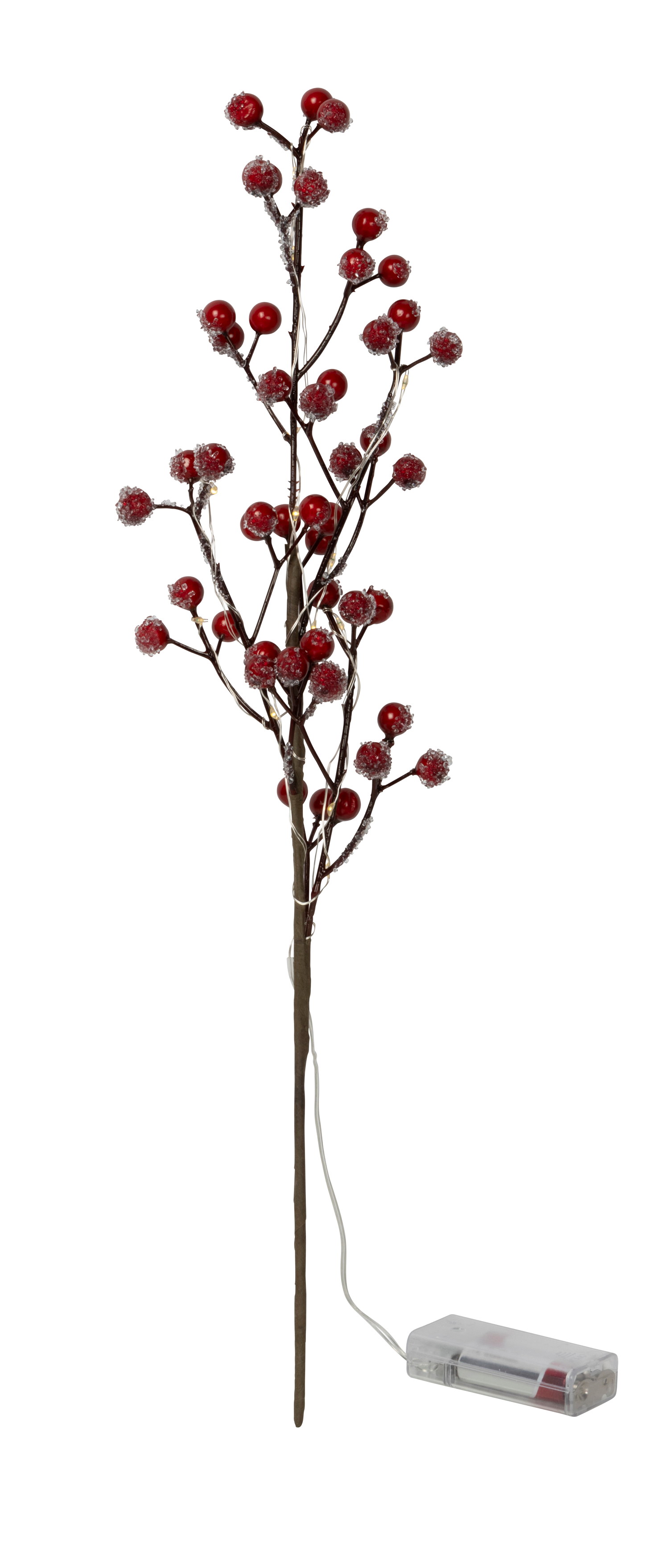 Branch with berries