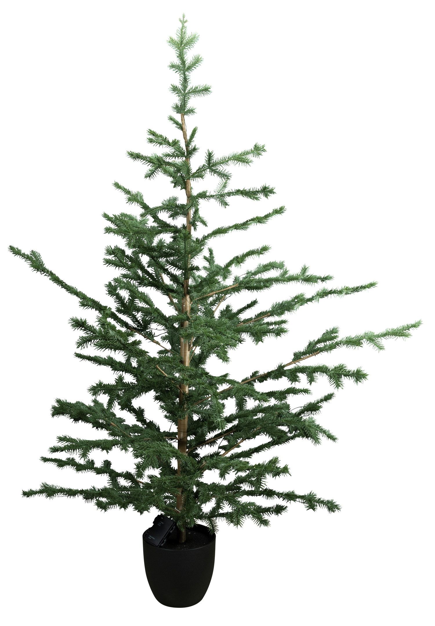 Christmas Tree with Lights