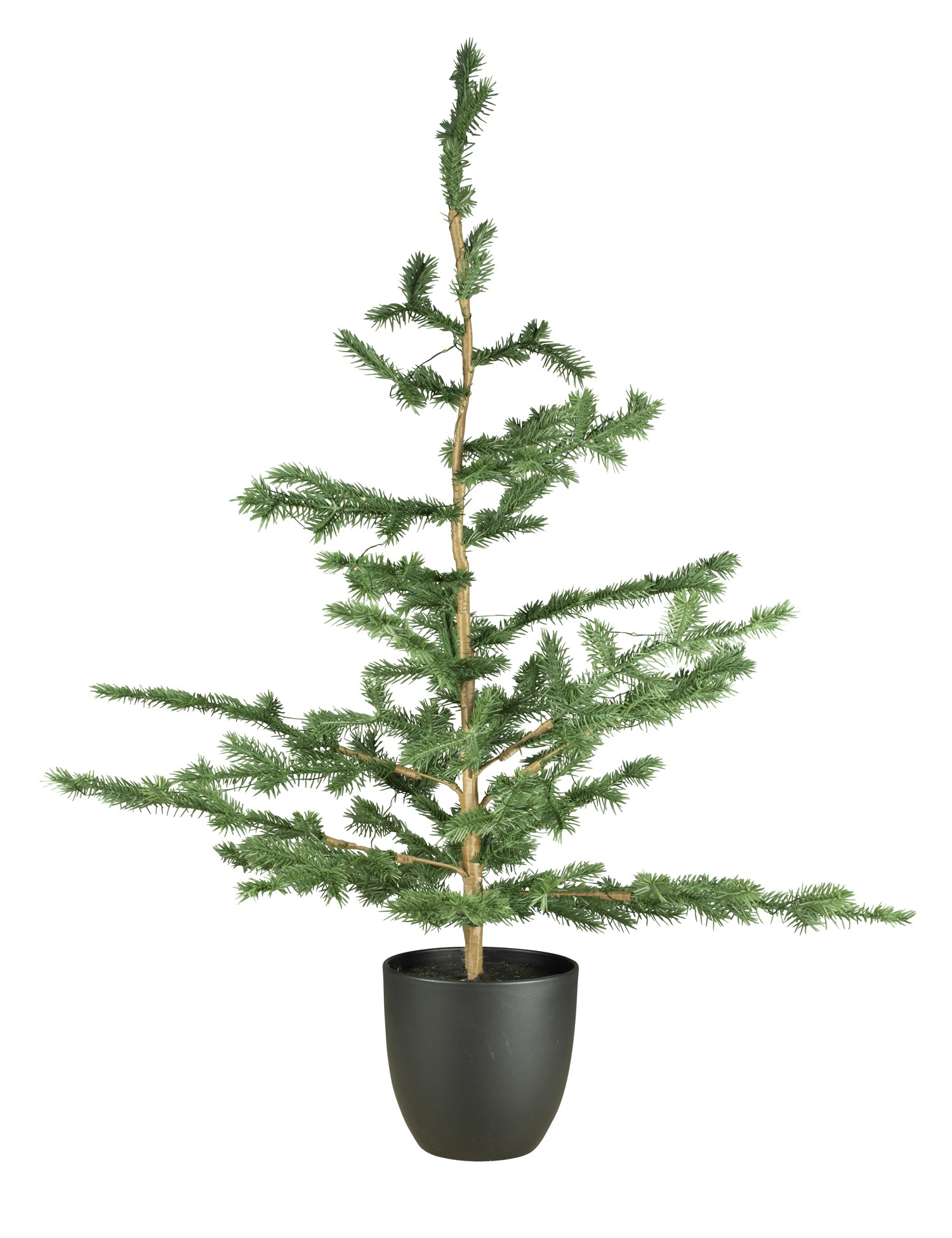 Christmas Tree with Lights