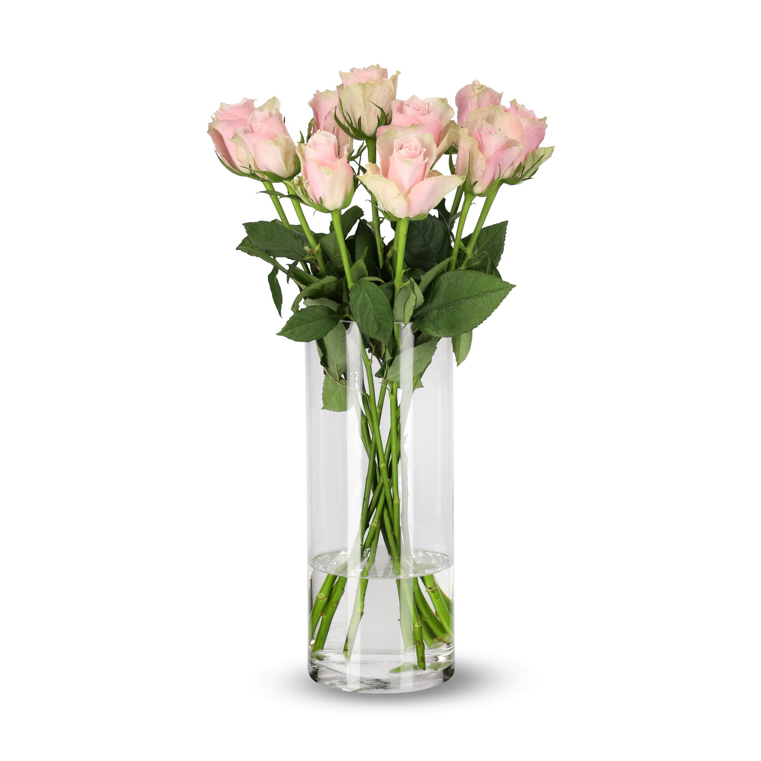 Rosa Mix 10 pk 50 cm