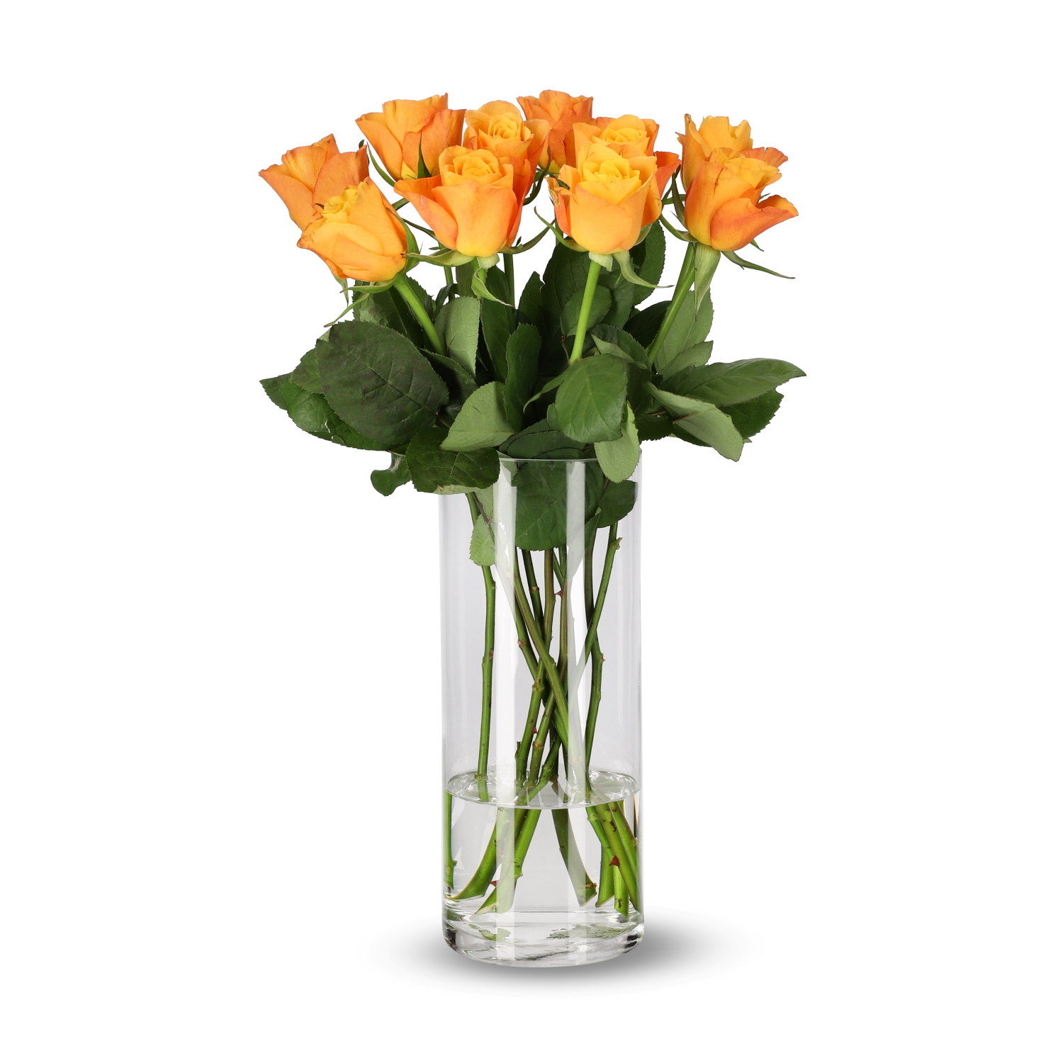 Rosa Mix 10 pk 50 cm