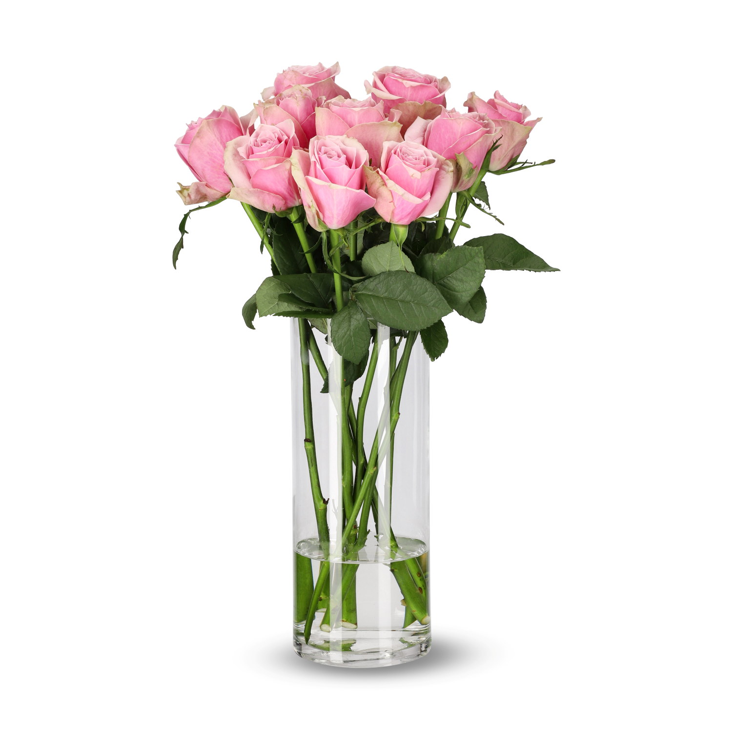 Rosa Mix 10 pk 50 cm