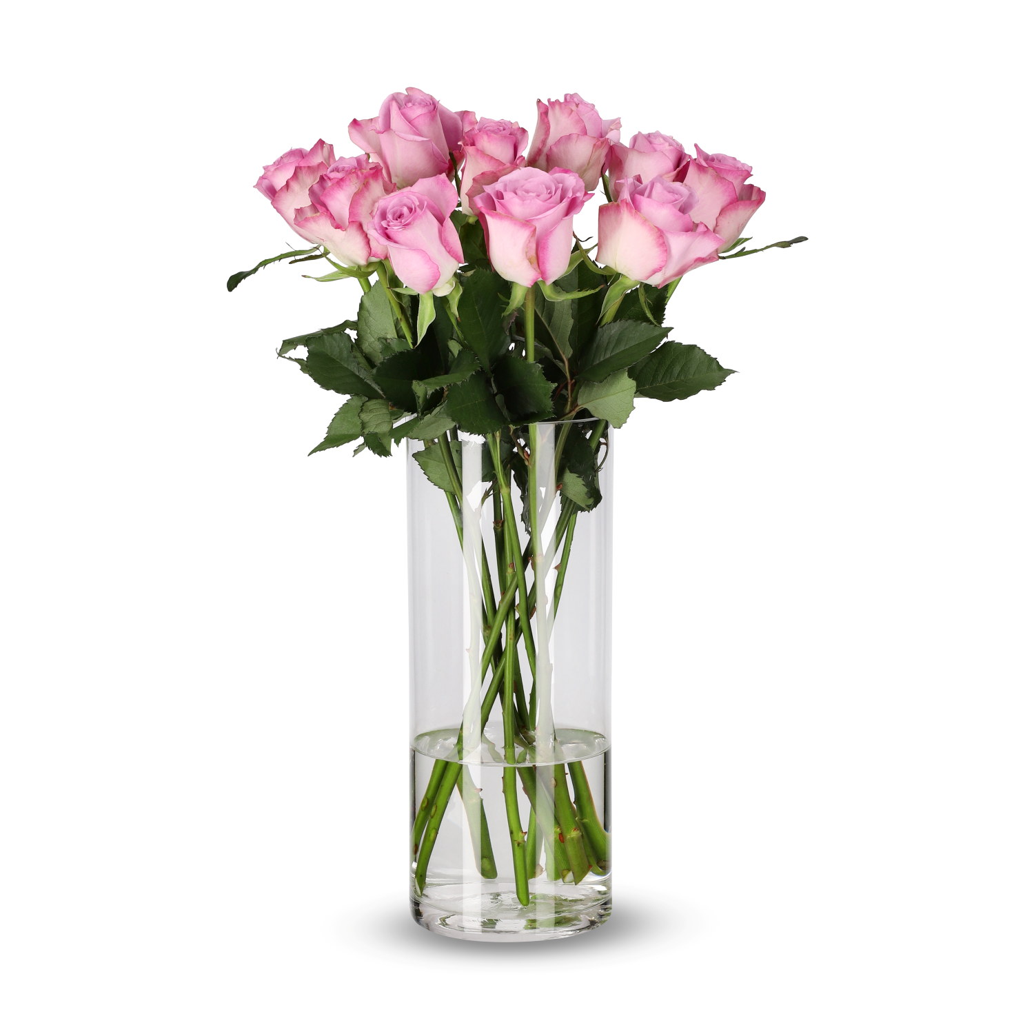 Rosa Mix 10 pk 50 cm