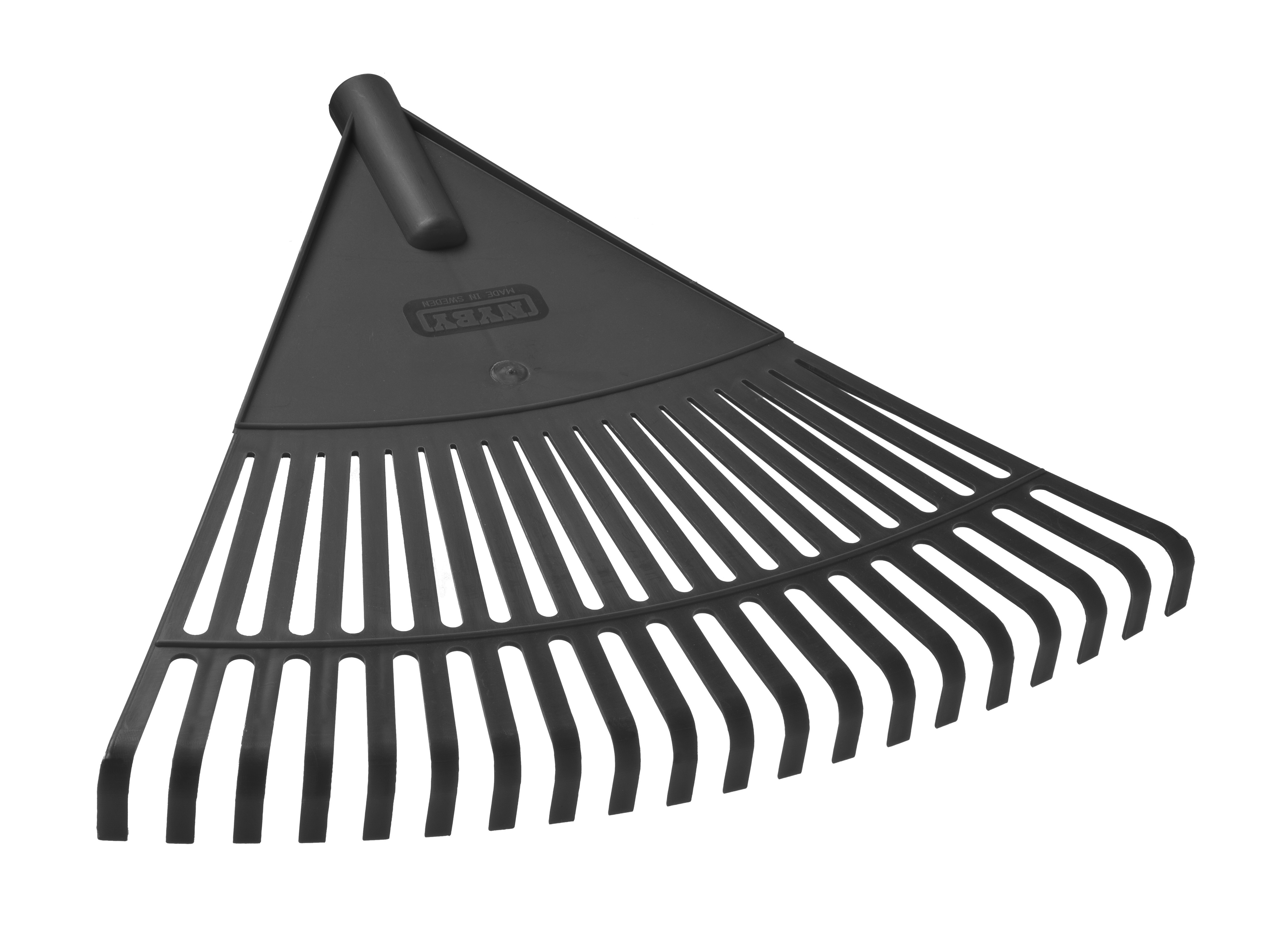 Lövräfsa Solfjäder huvud