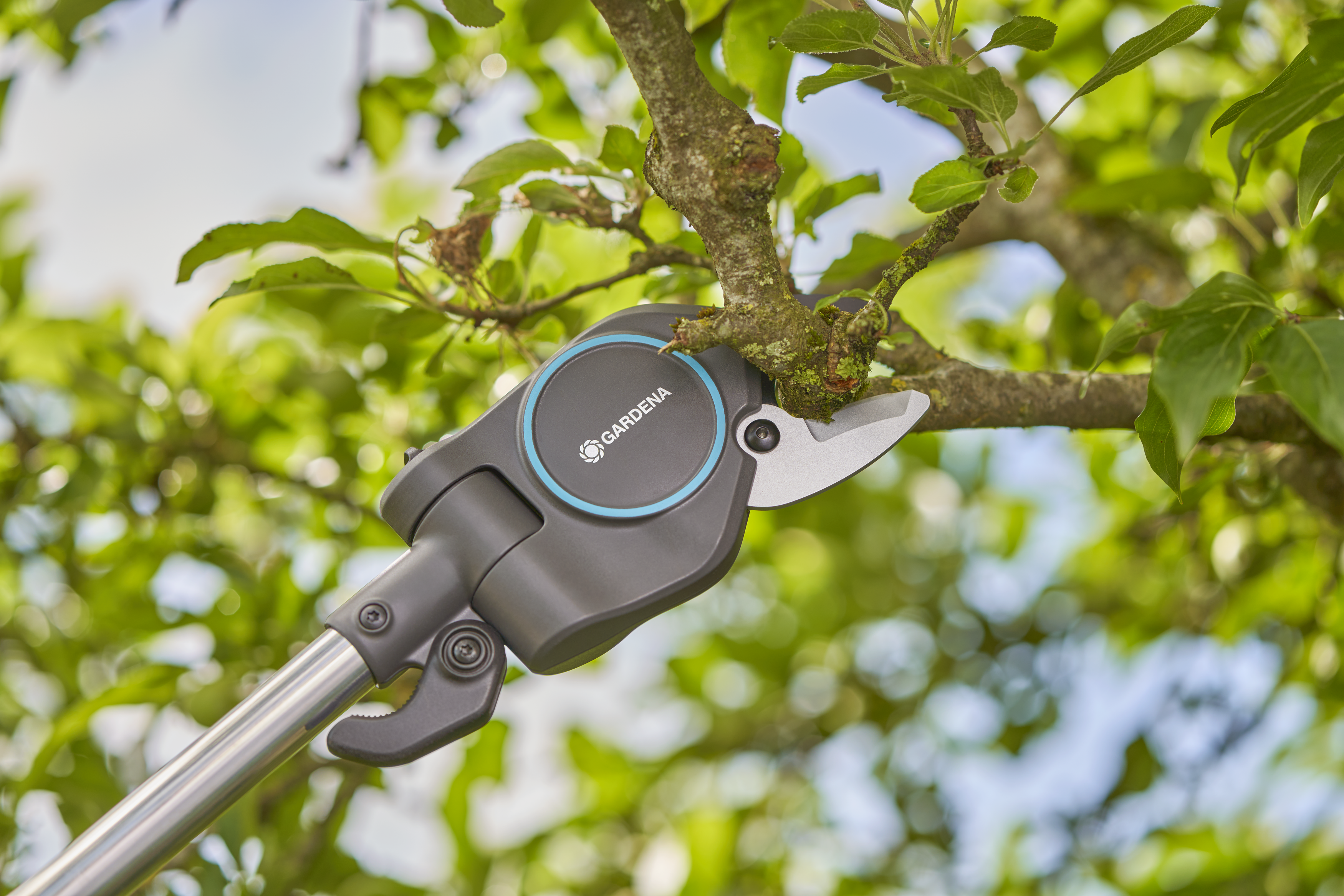 Toppsaks Starcut Pro S