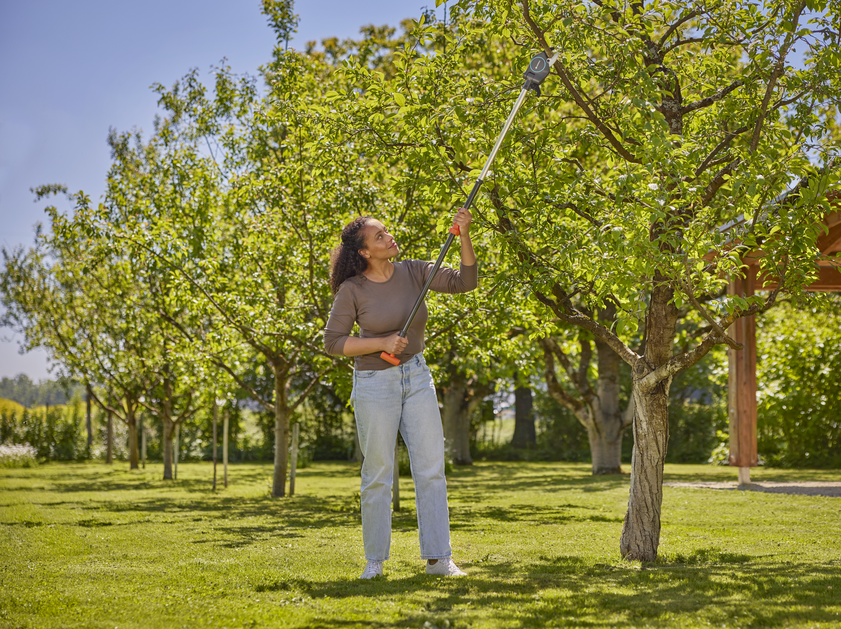 Toppsaks Starcut Pro S