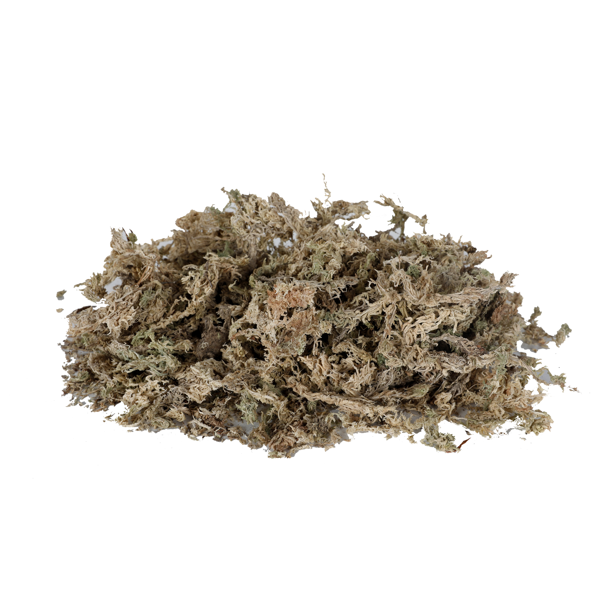 Sphagnum Moss 150g