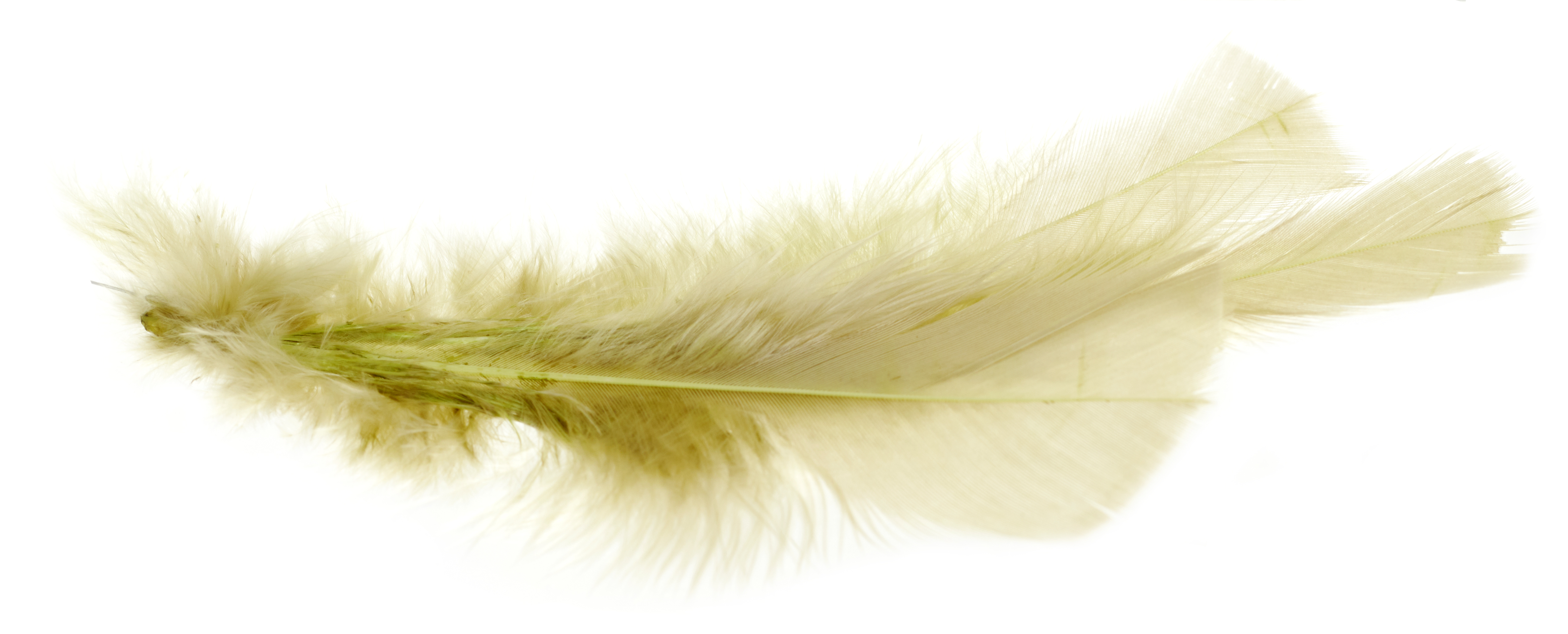 Easter decor Feather 