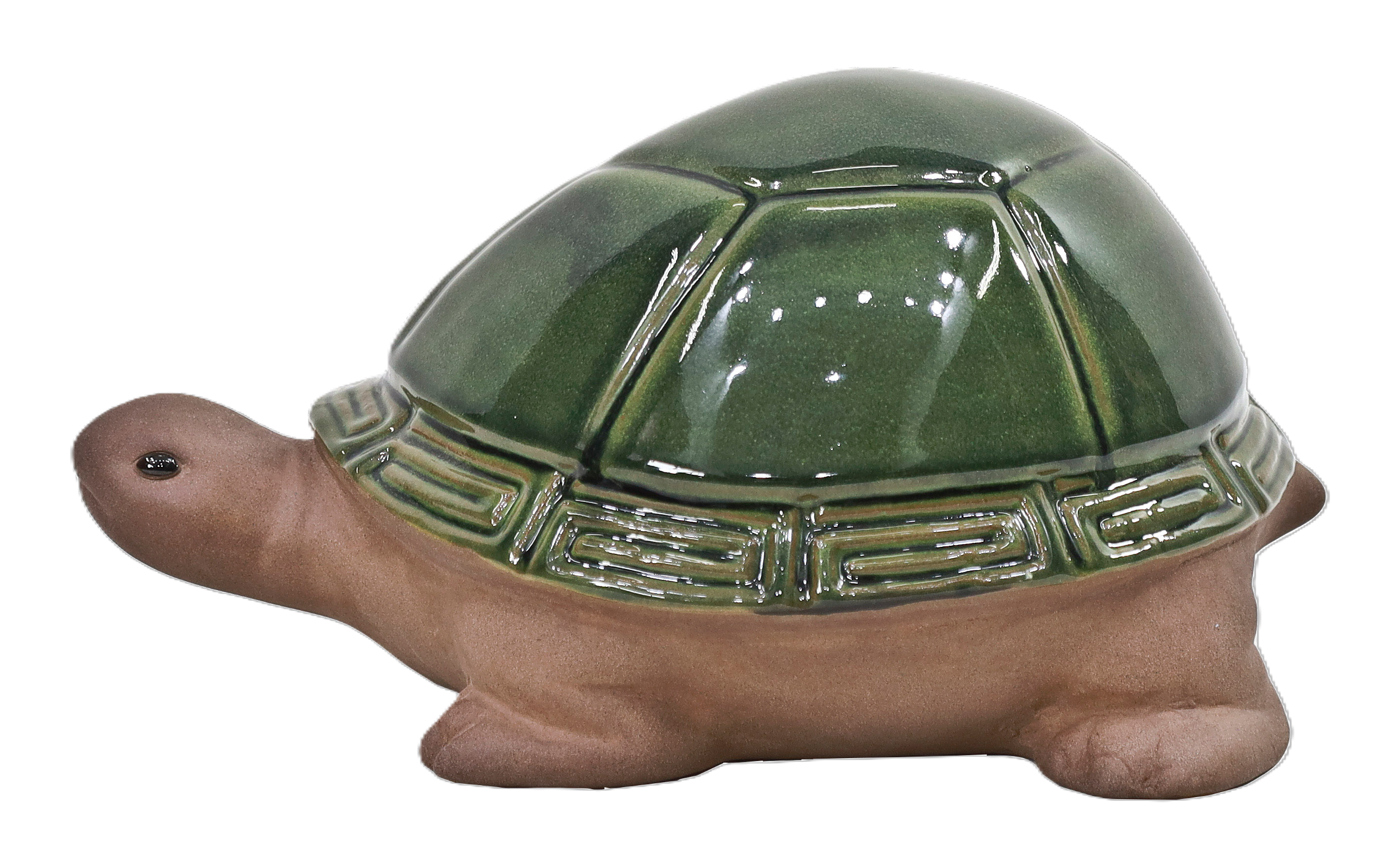 Dekorativ sköldpadda Truls