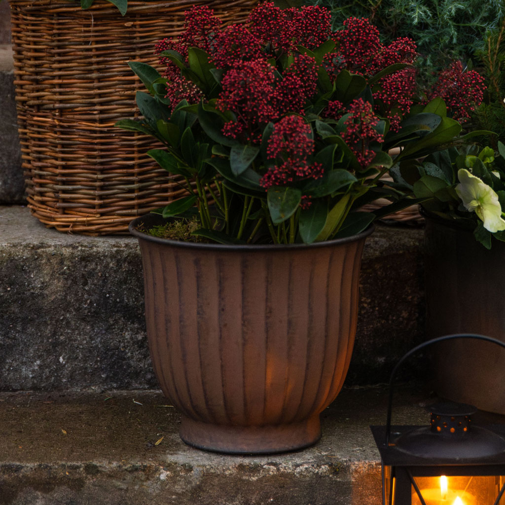 Glory rustic pot D26 brown