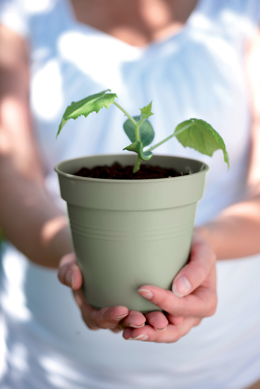 Planteringskruka Green Basics