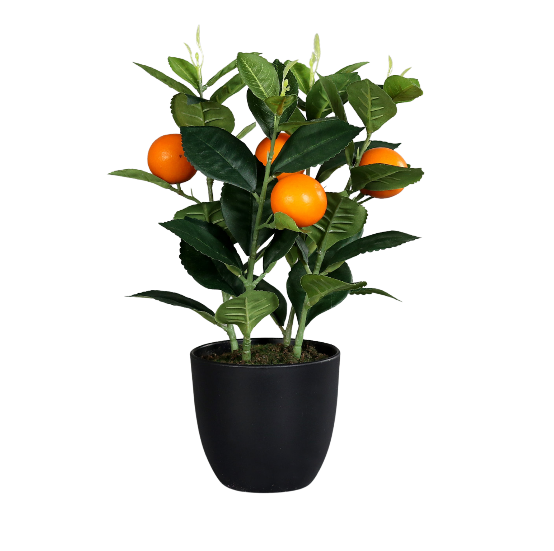 Sitrusplante kunstig