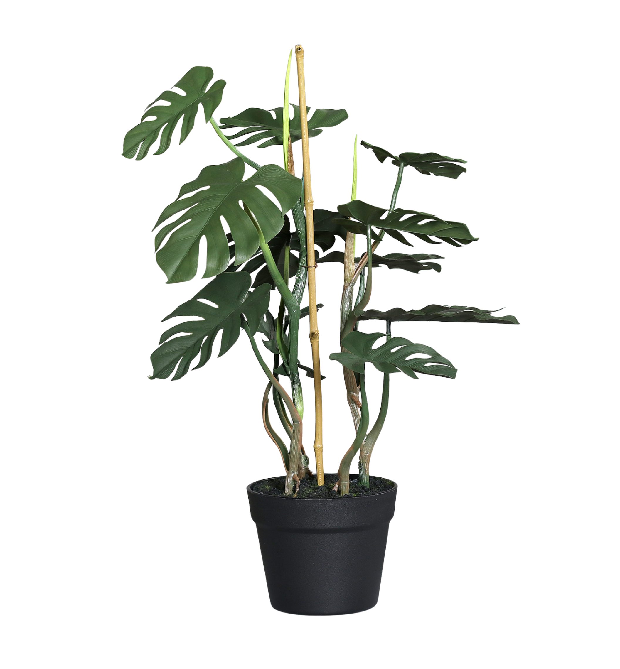 Monstera i kruka konstgjord