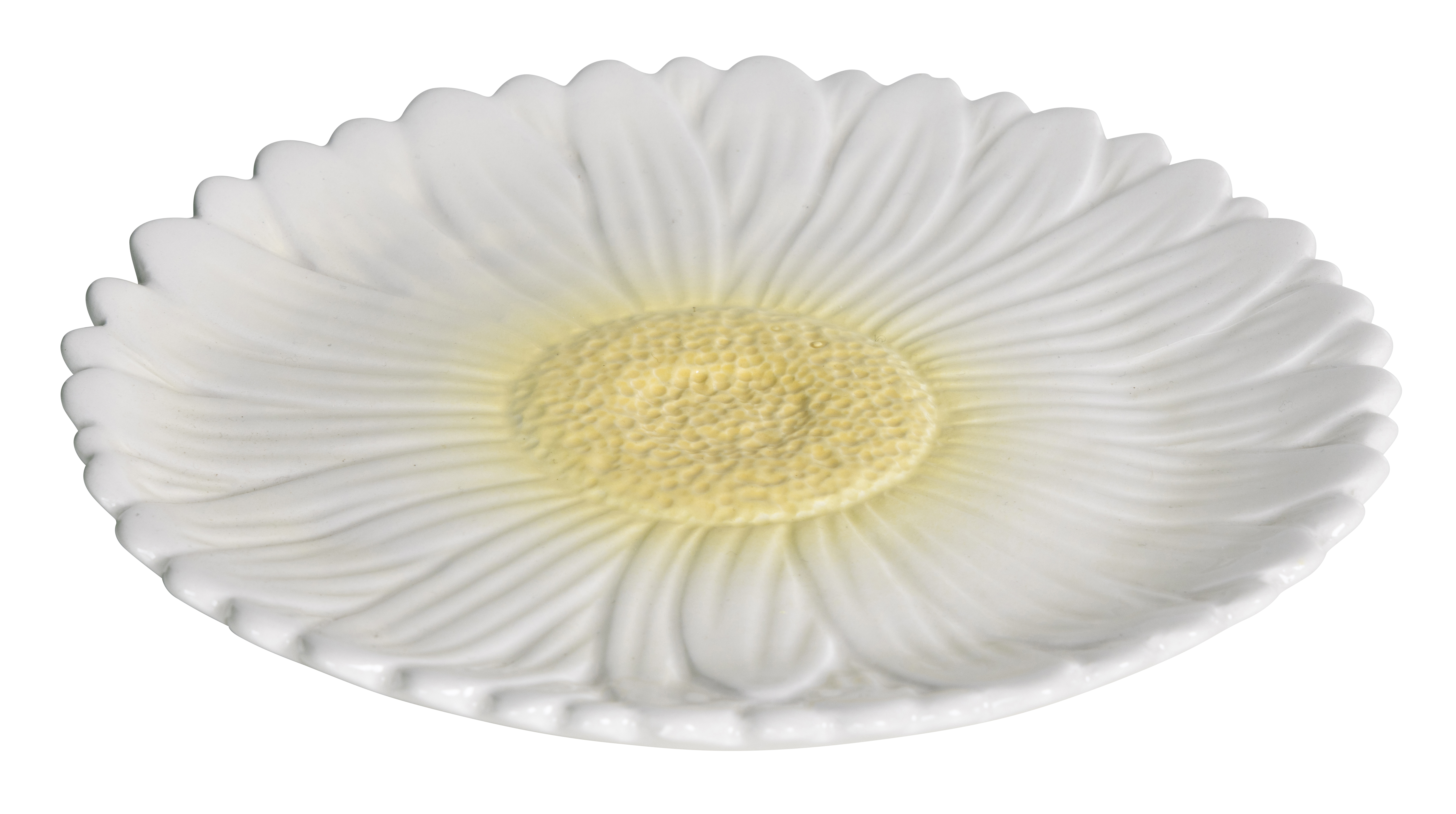 Plate Daisy