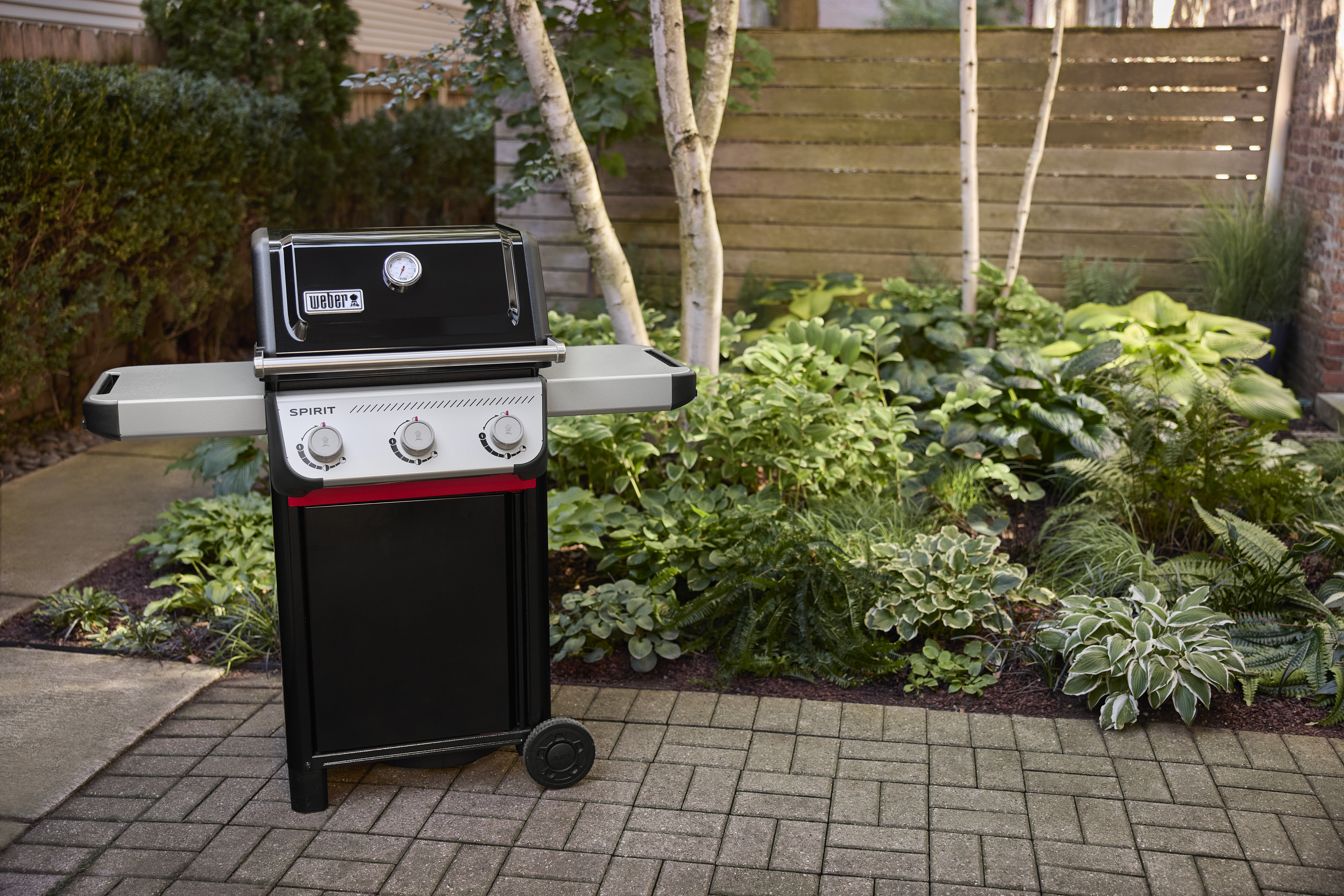Gassgrill Spirit E-310
