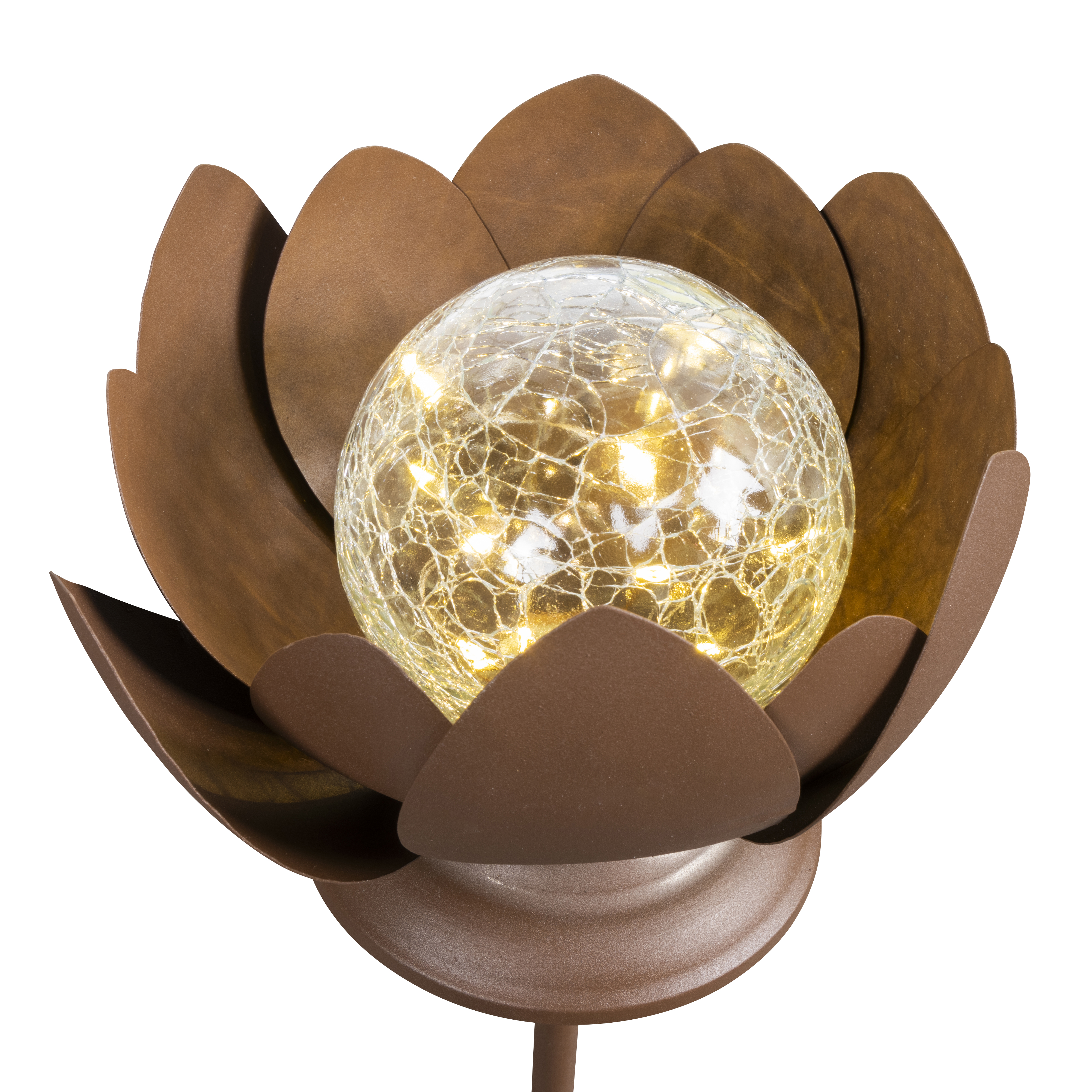 Lotusblomst Solar