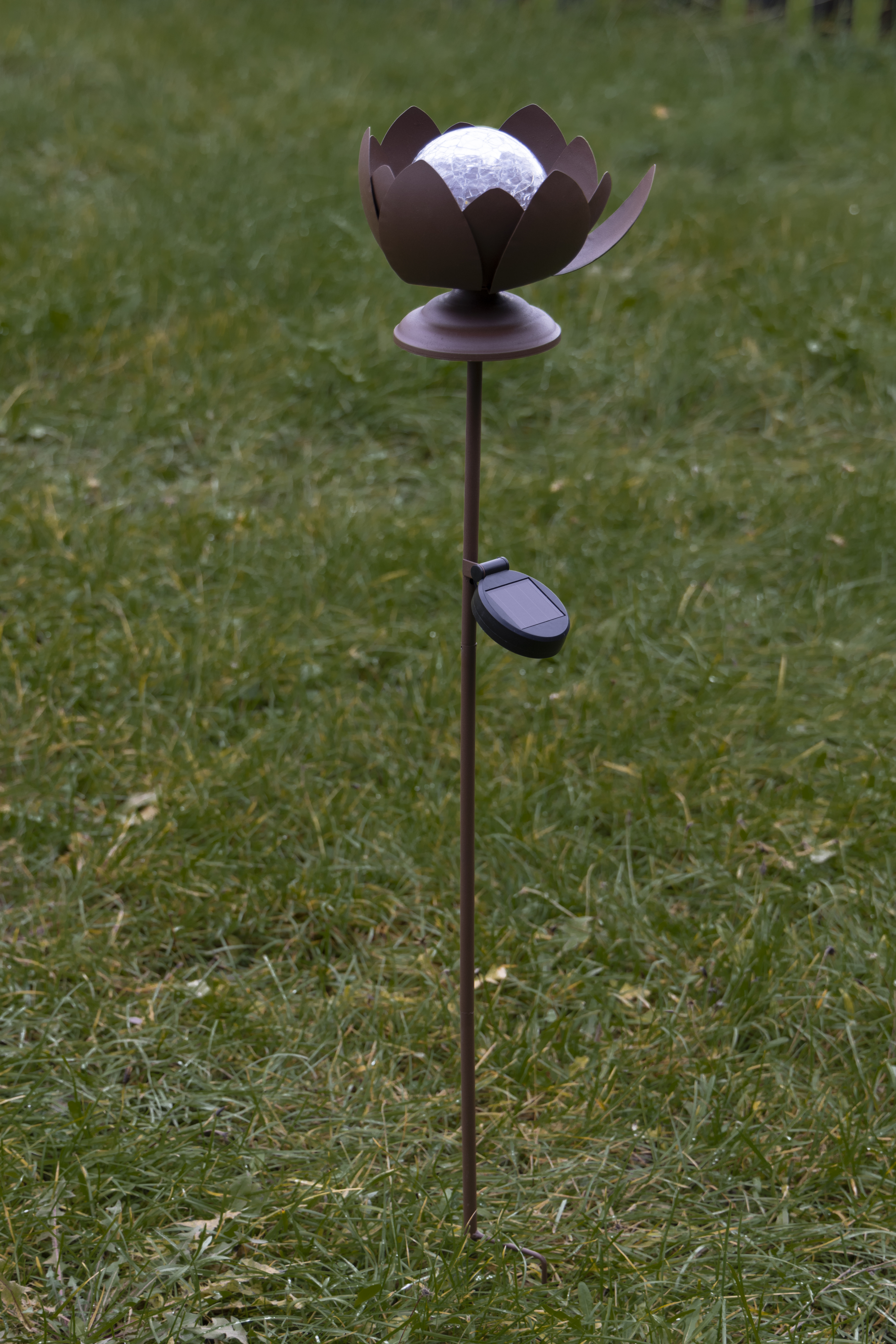 Lotusblomst Solar