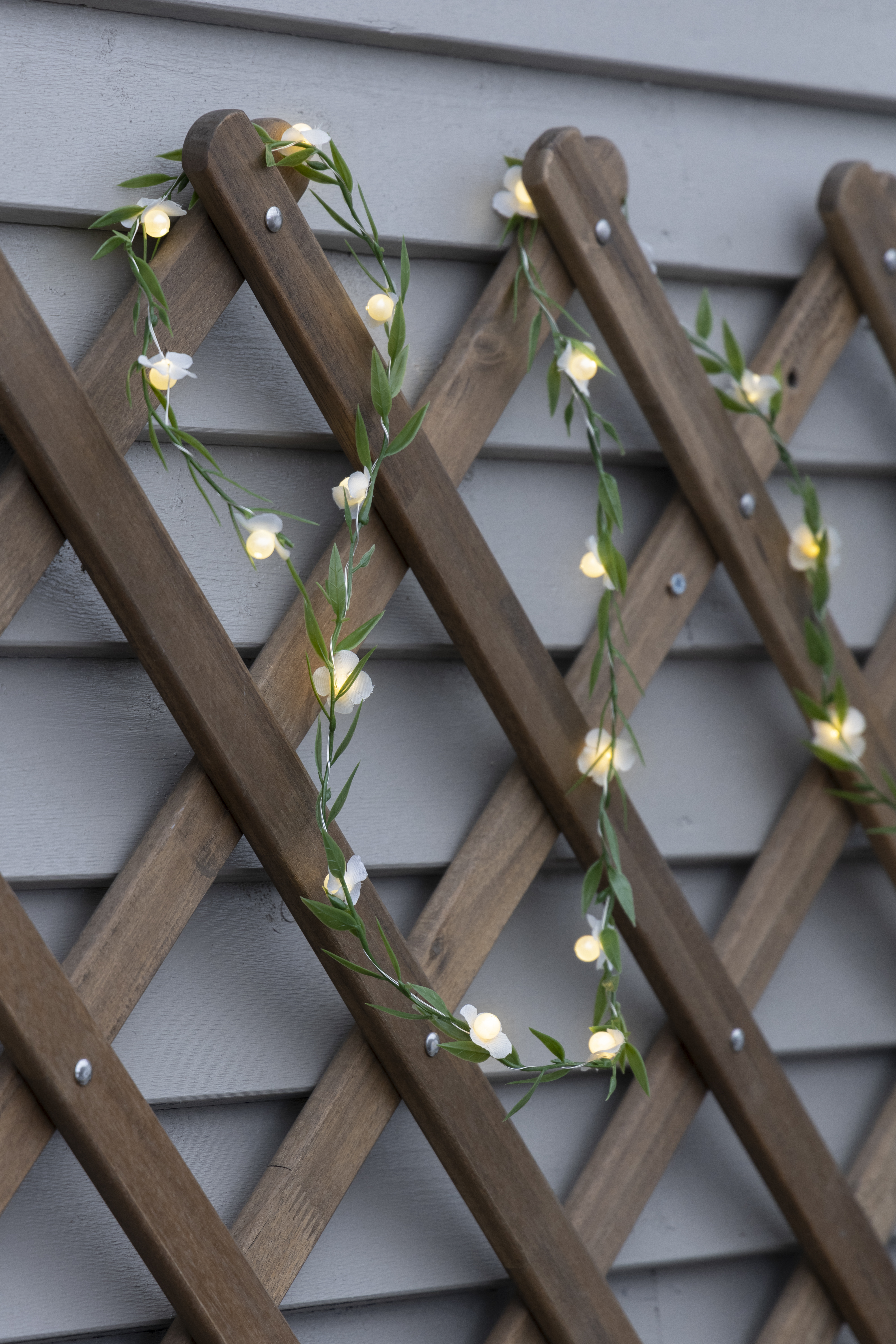 Lyslenke Med Blomster