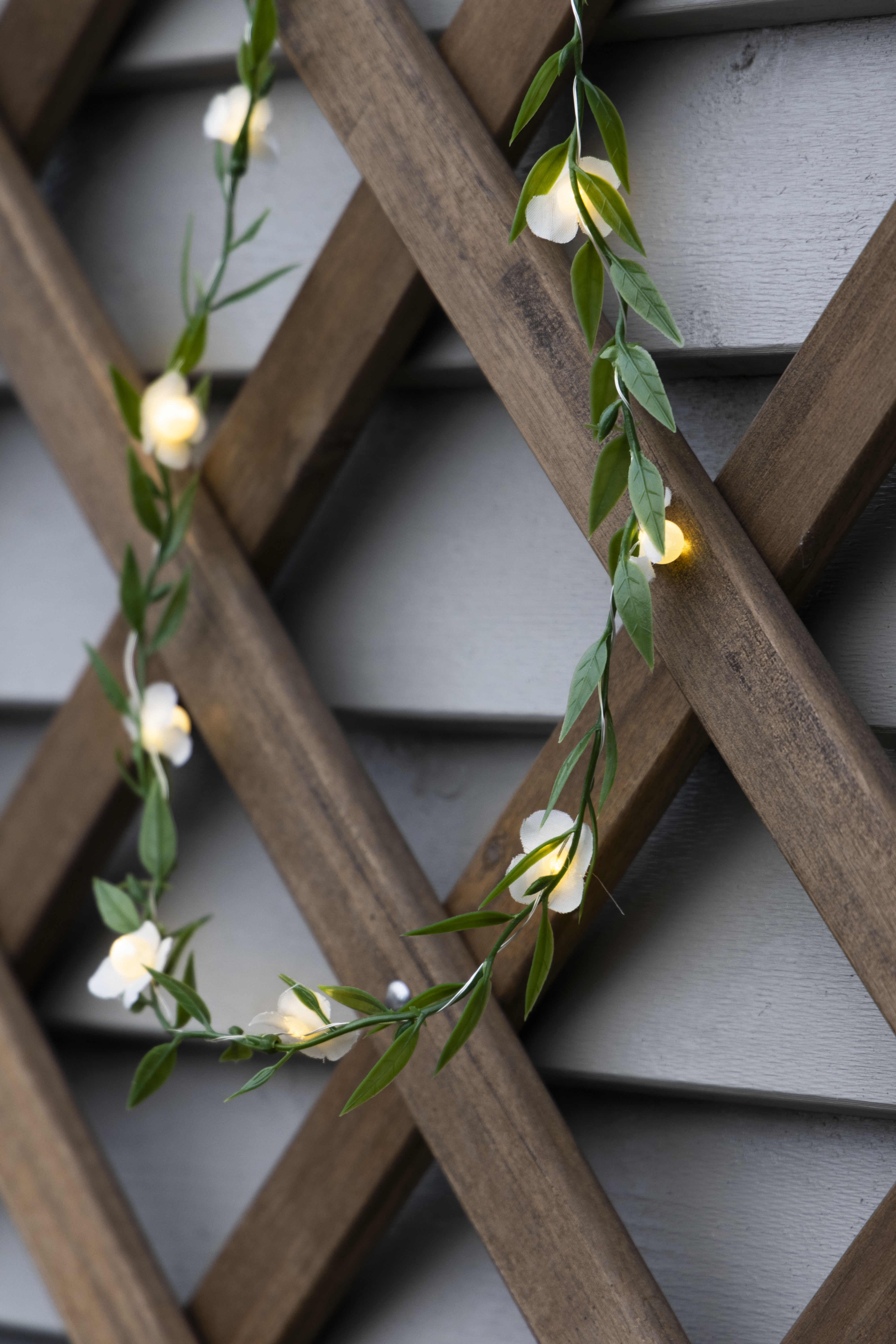 Lyslenke Med Blomster