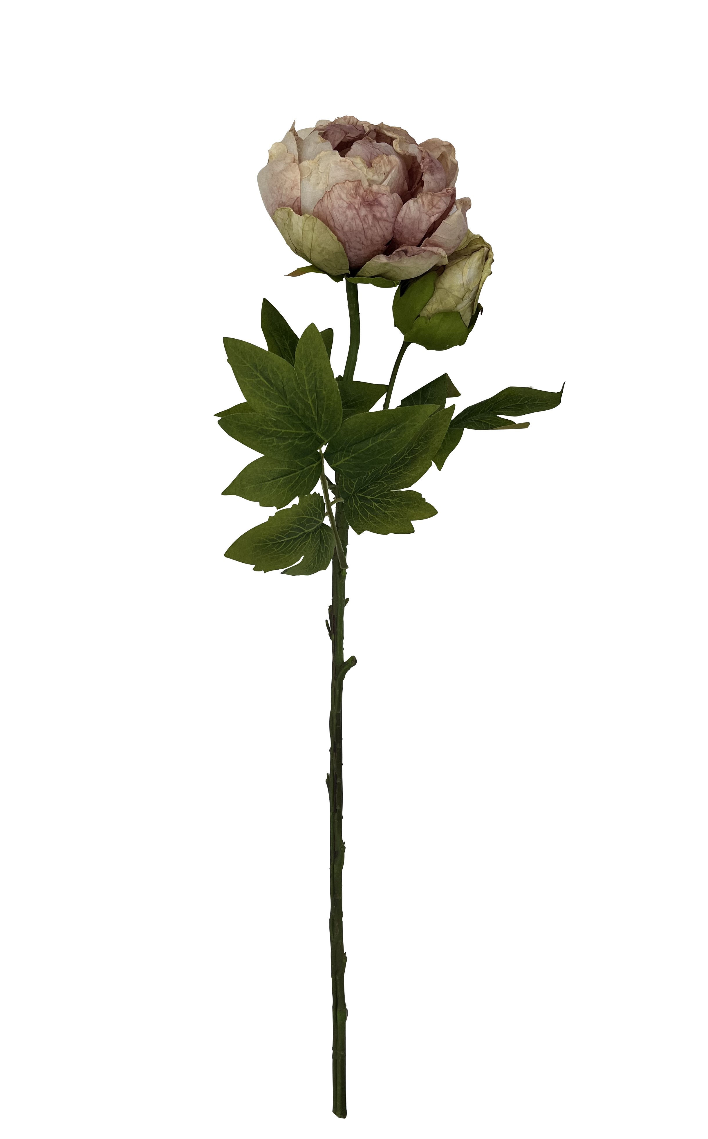 Peony cut artificial