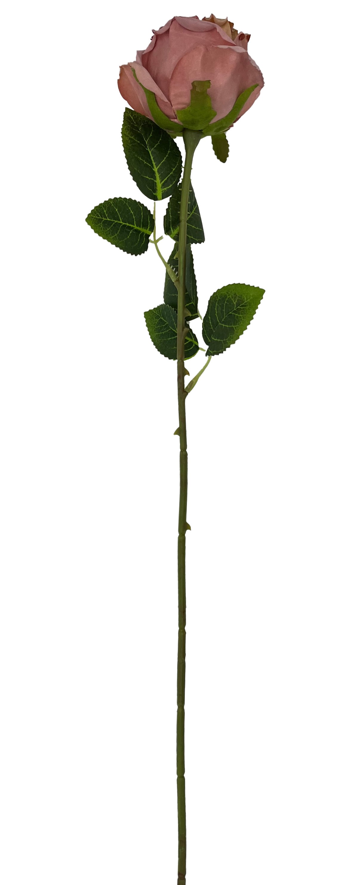 Ros snitt konstgjord