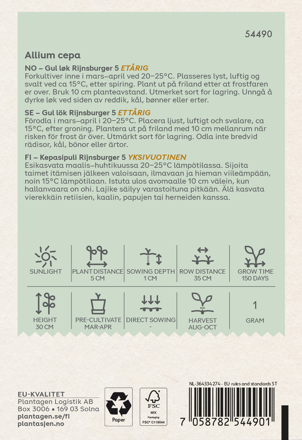 Gul lök 'Rijnsburger'