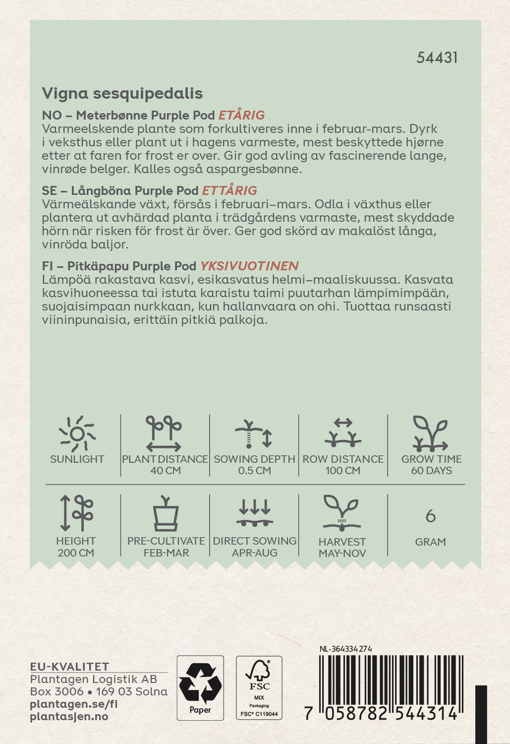 Långböna 'Purple Pod'