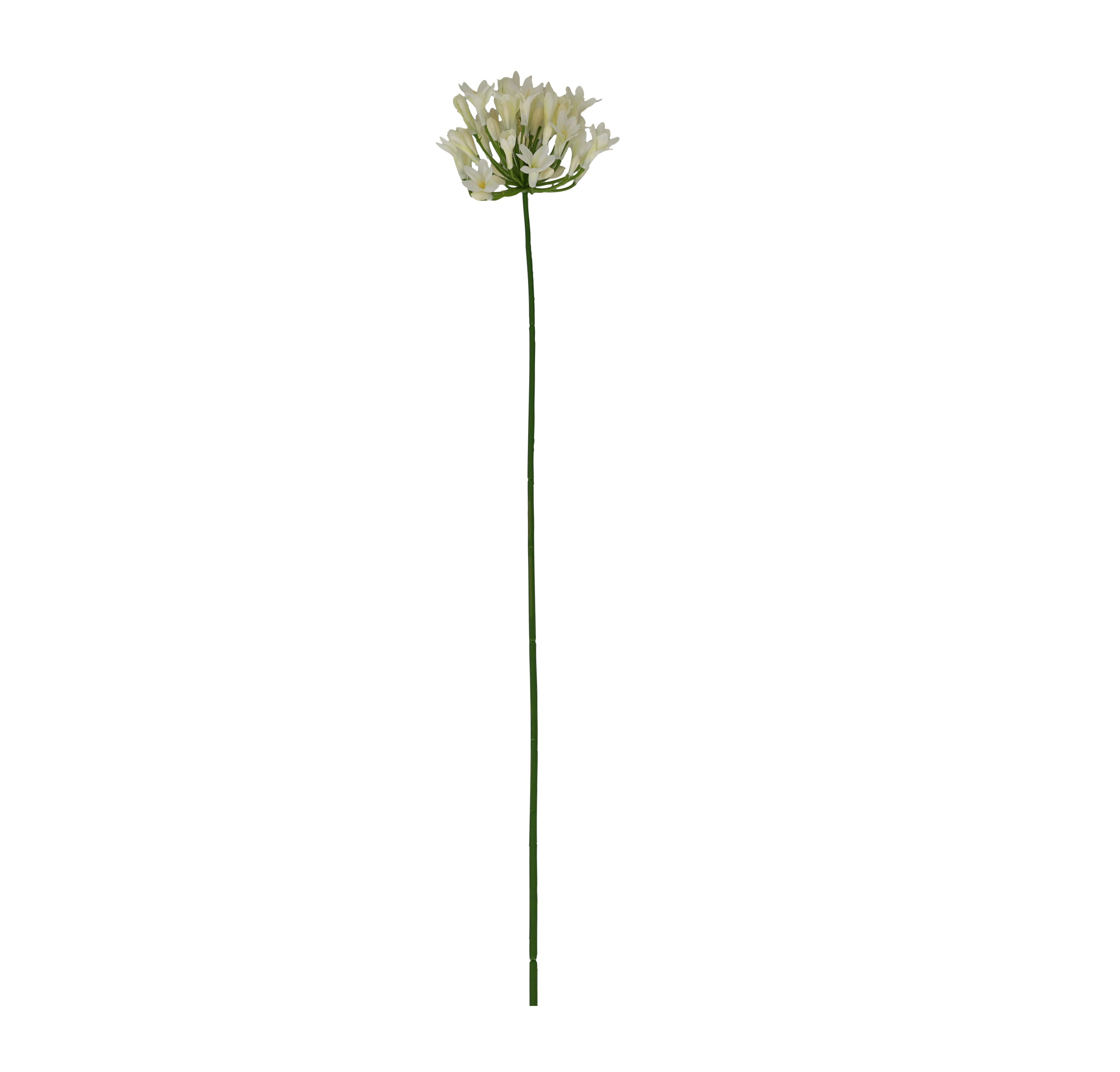 Allium cut artificial